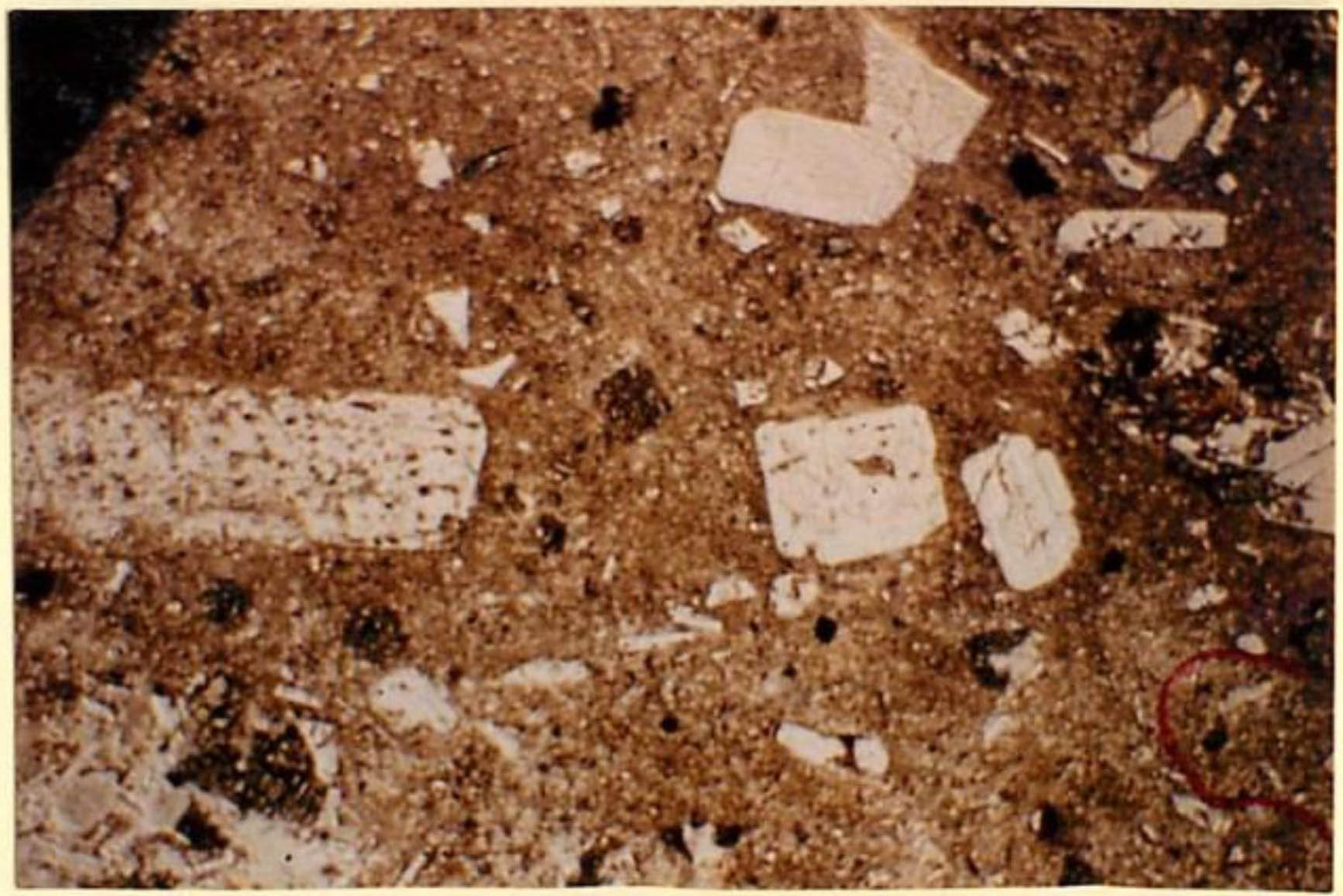 thin section image 2