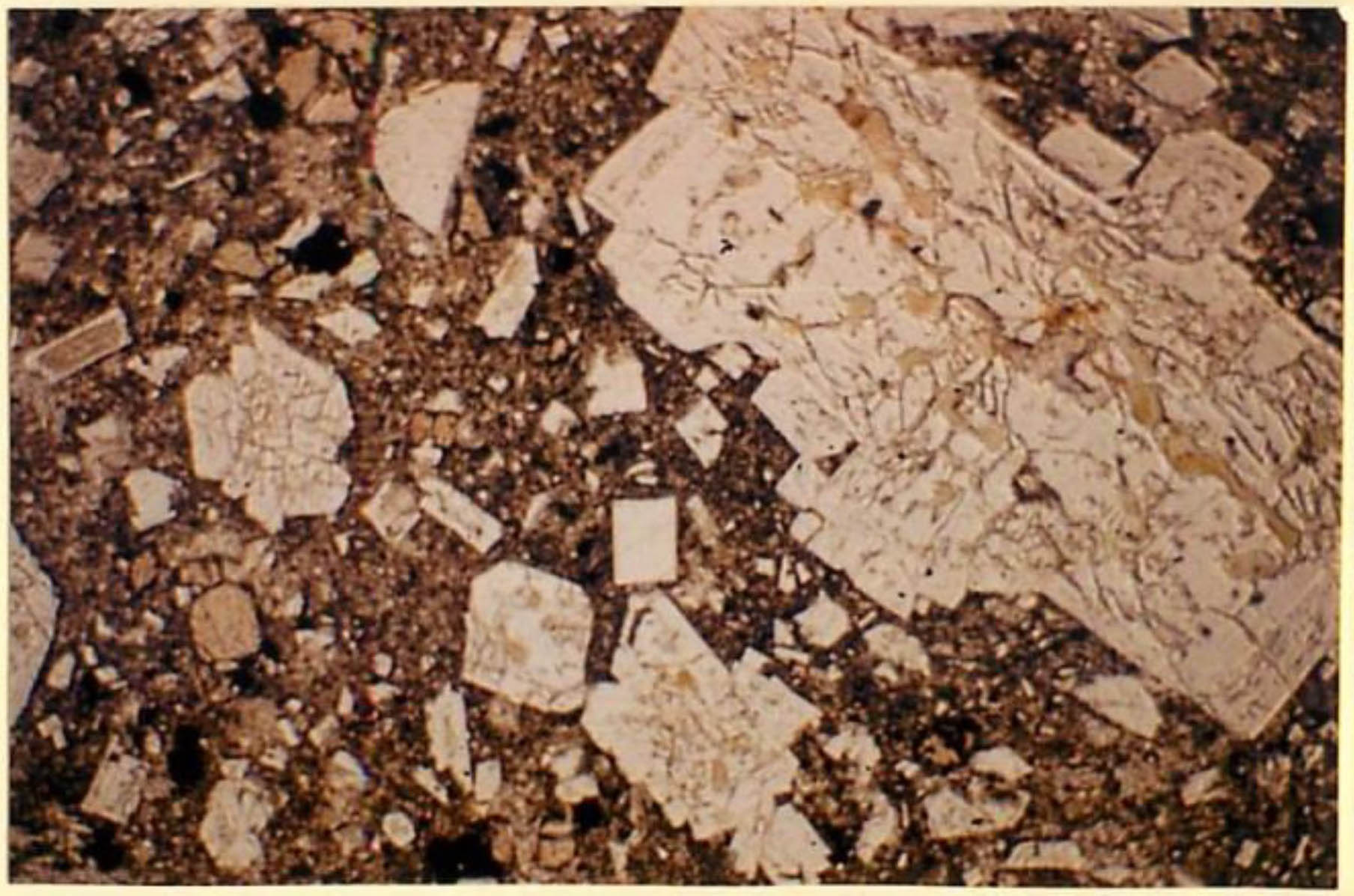 thin section image 2