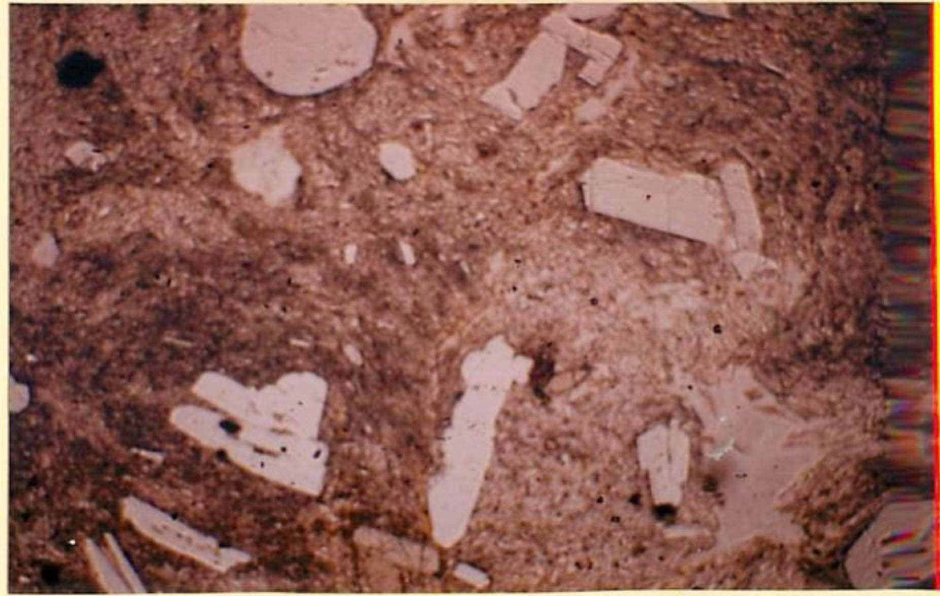 thin section image 2