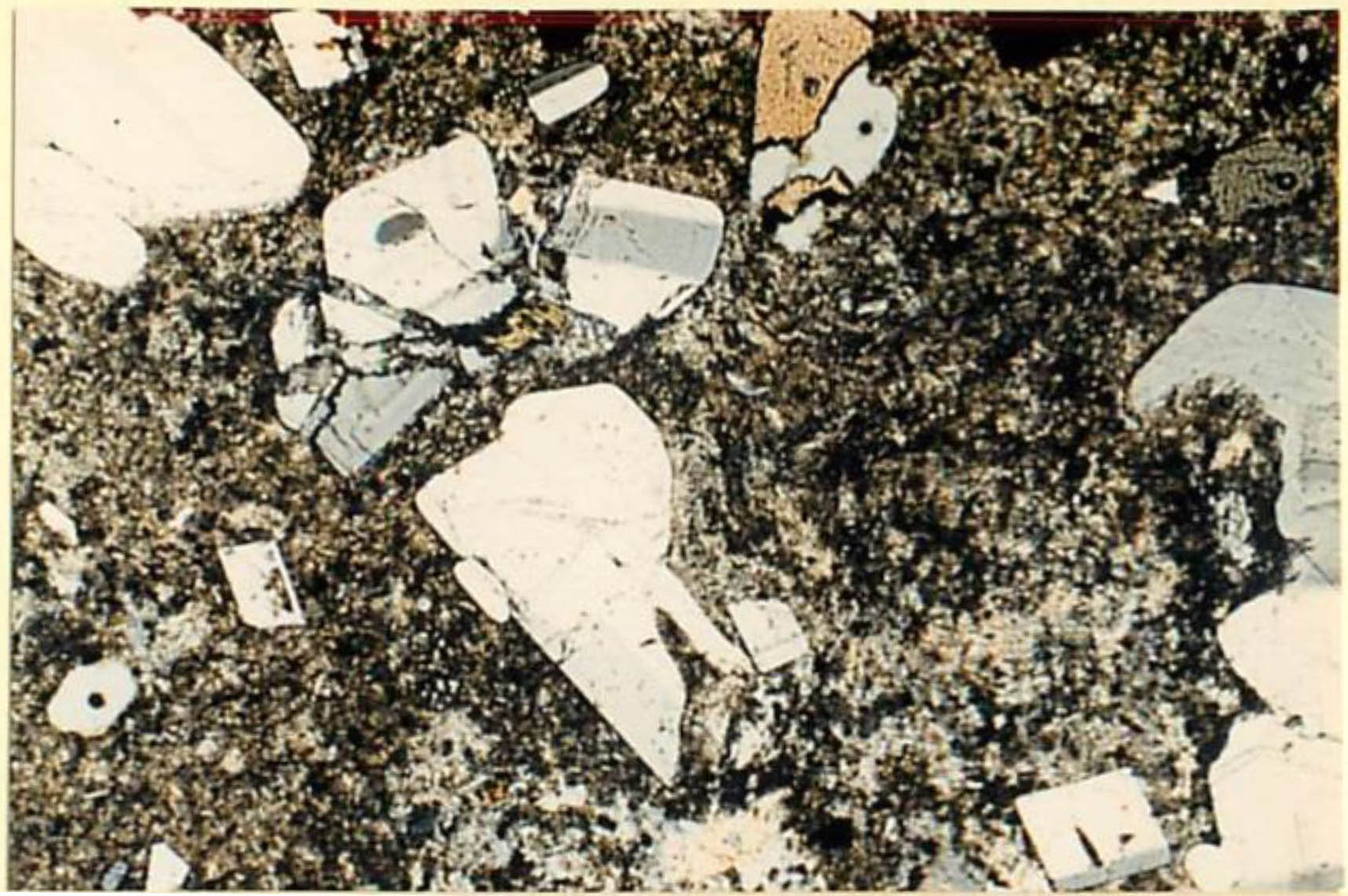 thin section image 1