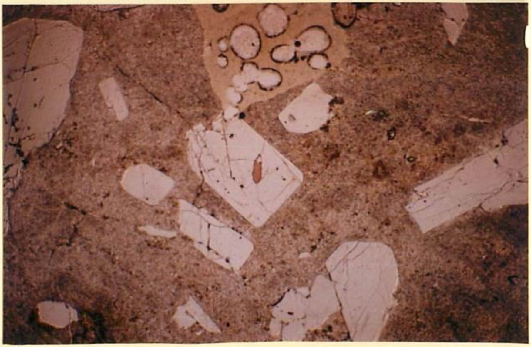 thin section image 2