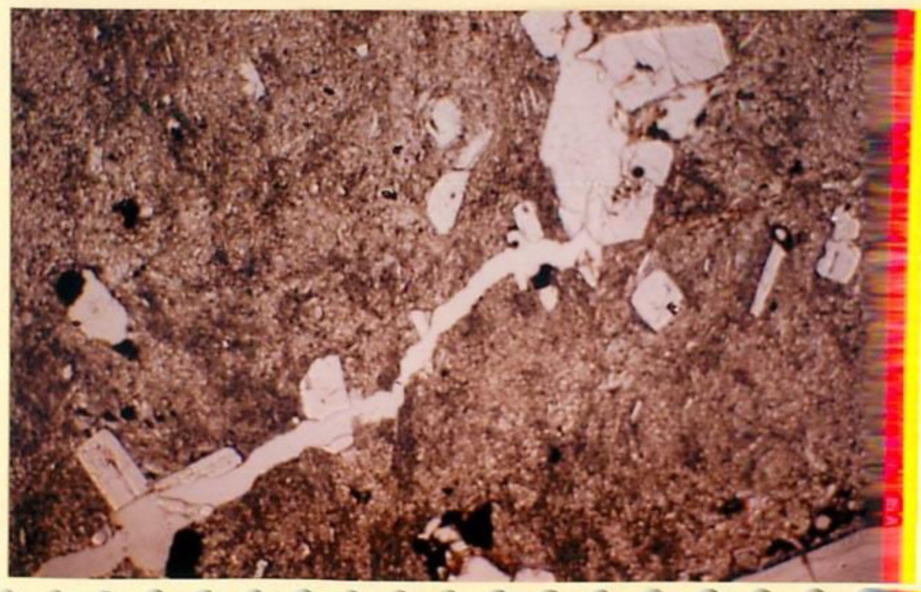 thin section image 2