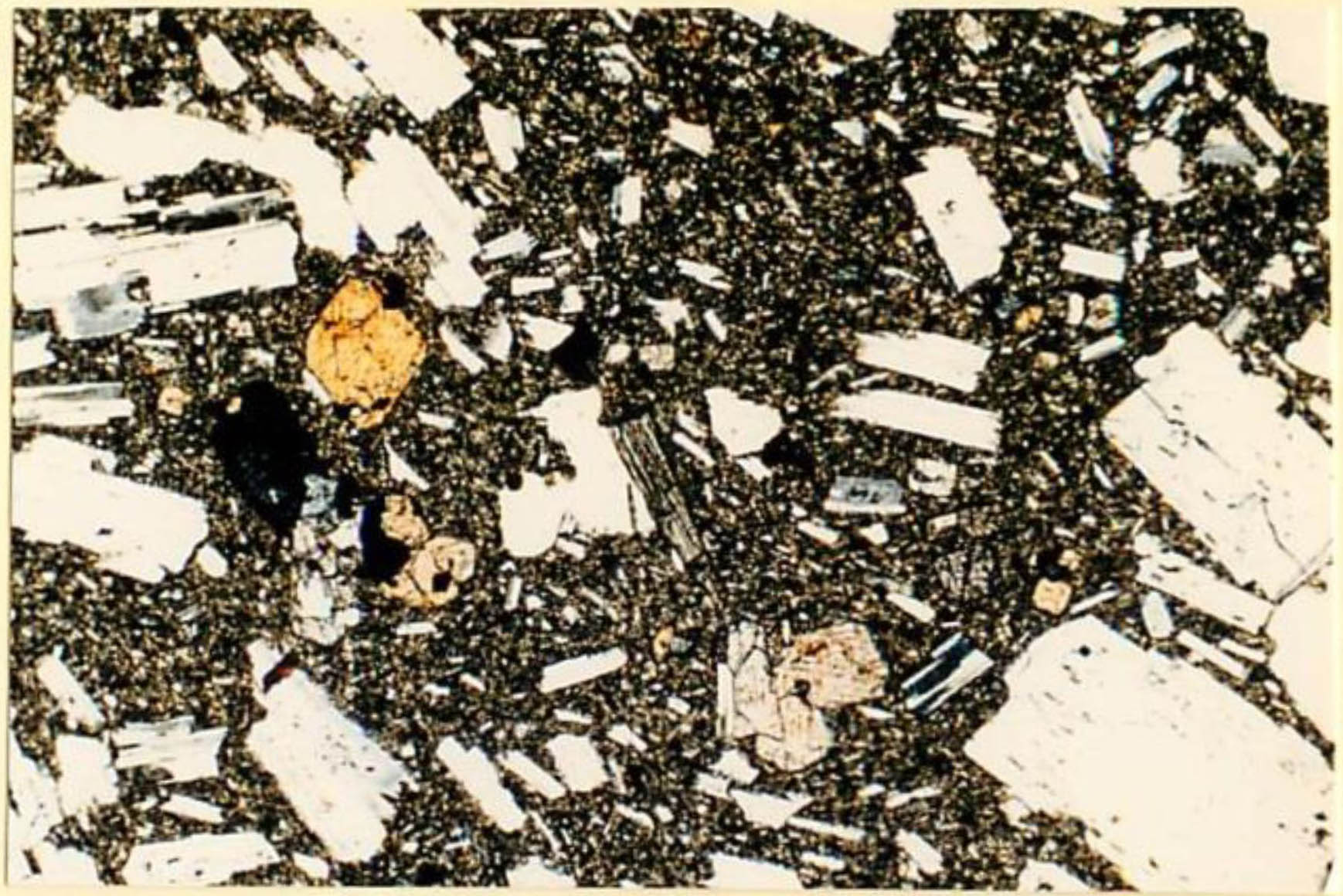thin section image 1