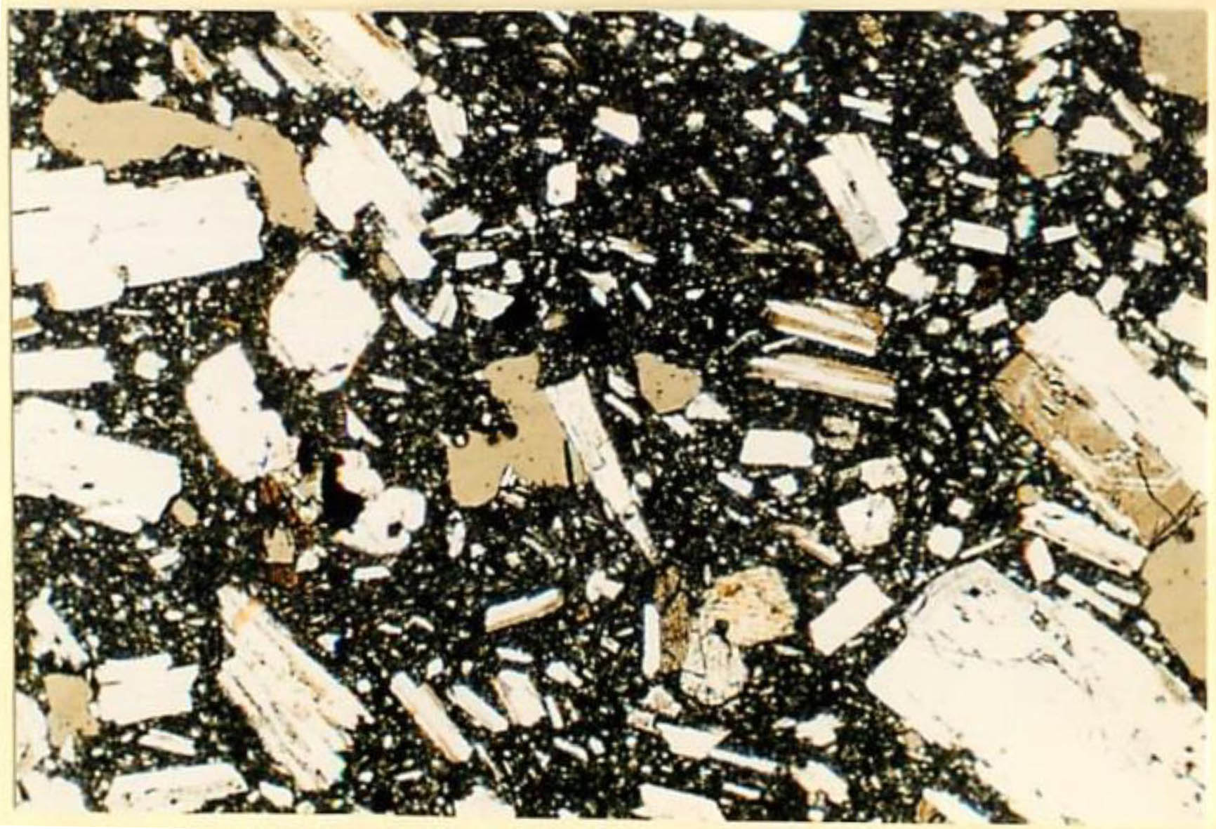 thin section image 2