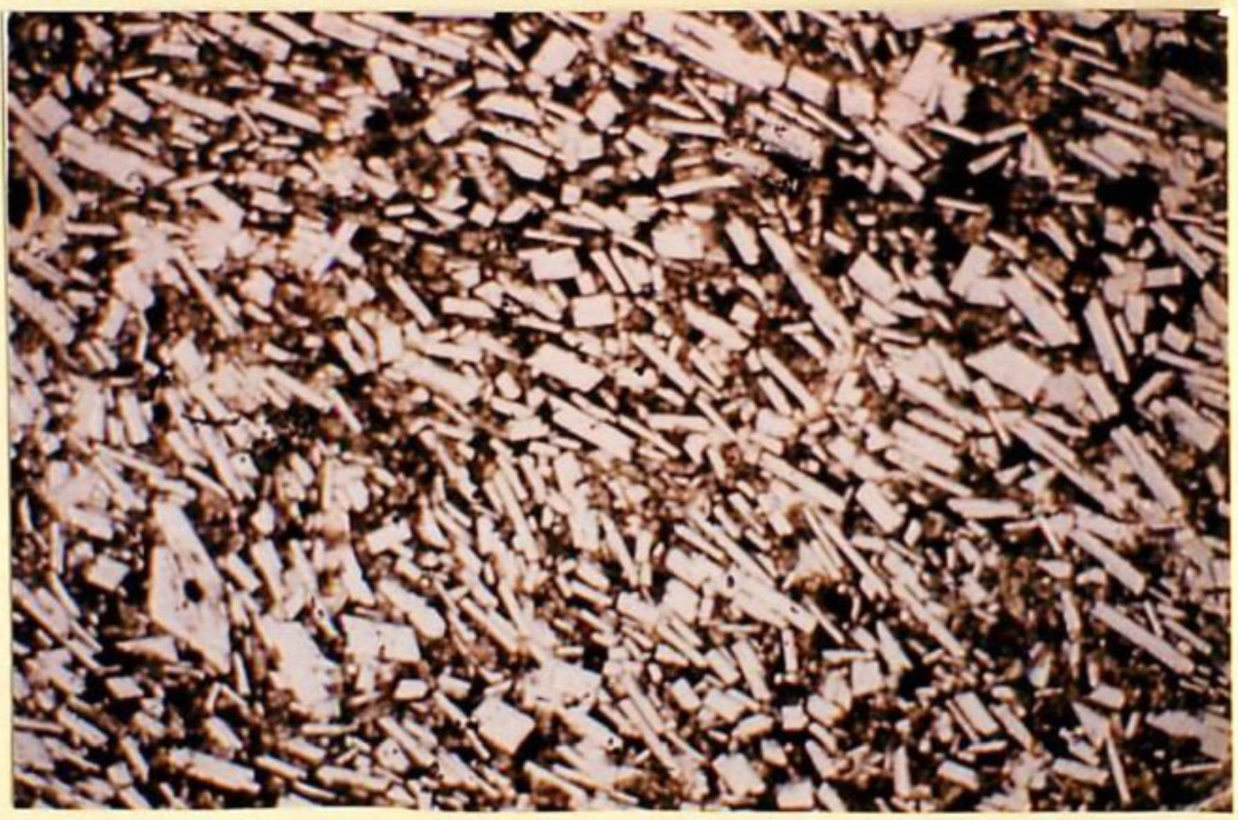 thin section image 2