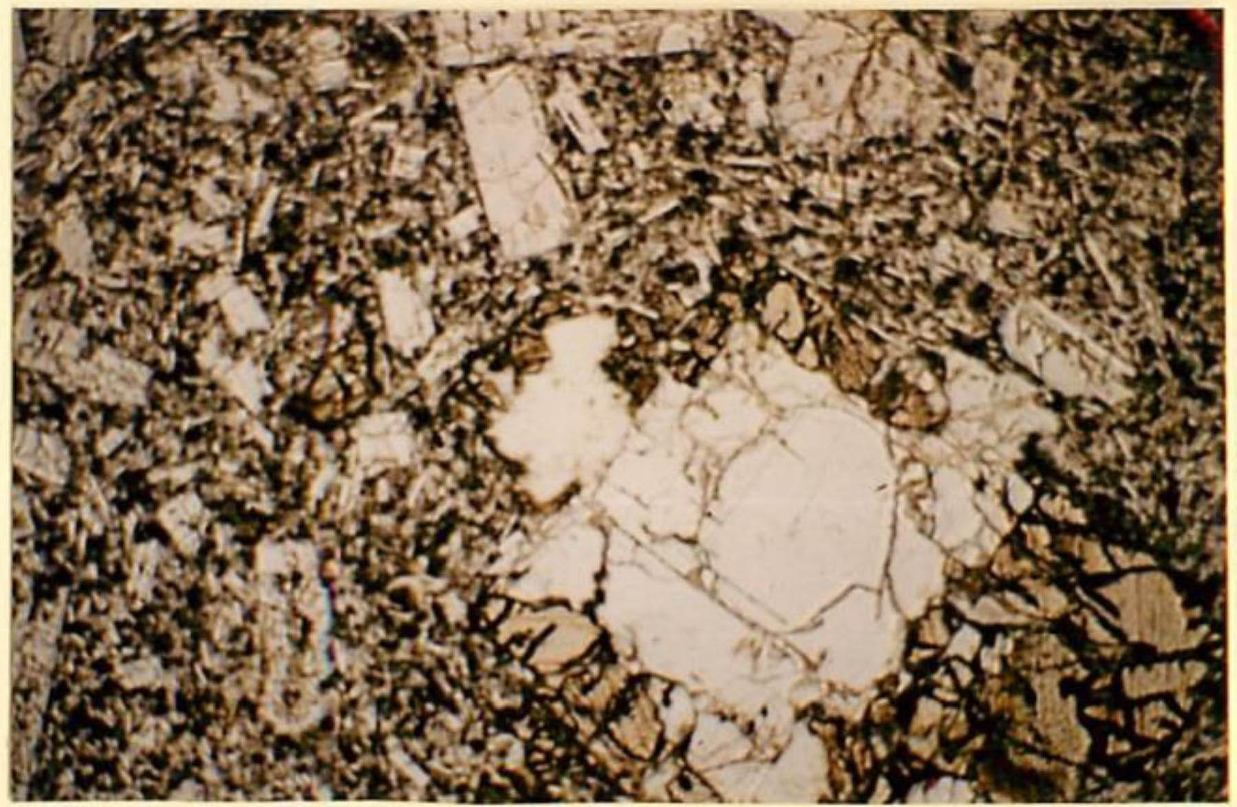 thin section image 2