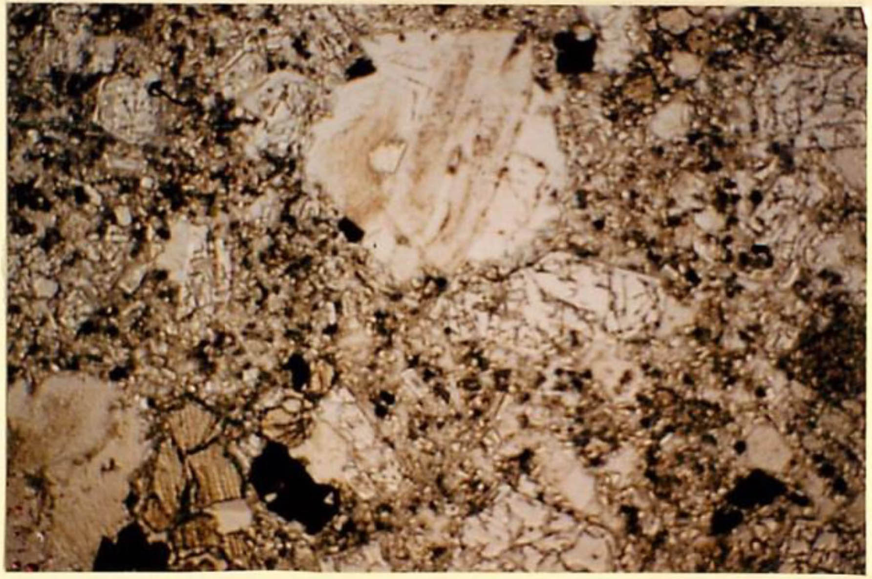 thin section image 2