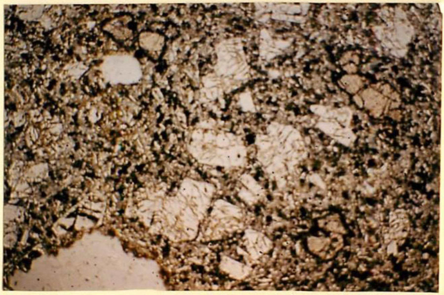 thin section image 2