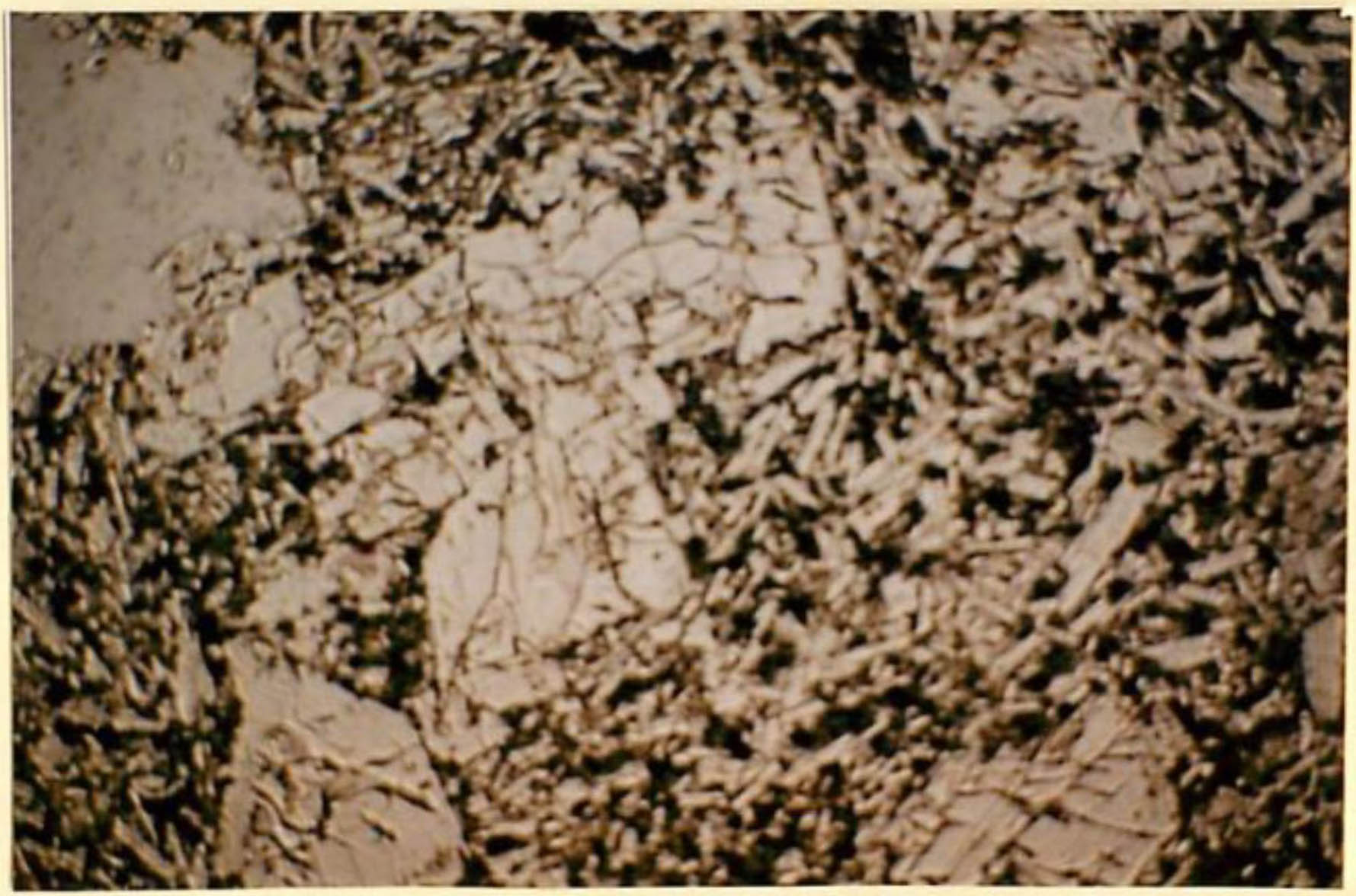 thin section image 2