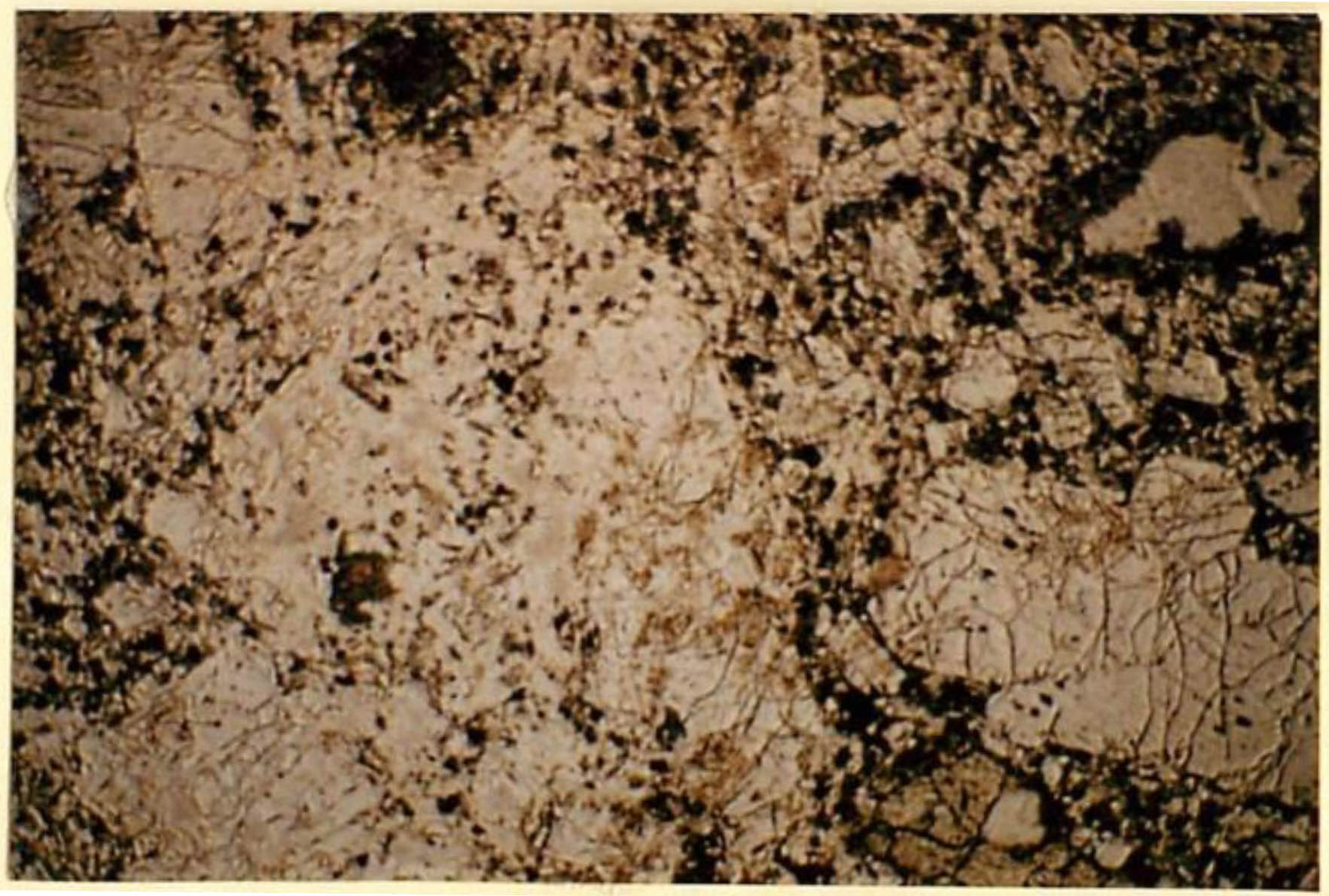 thin section image 2