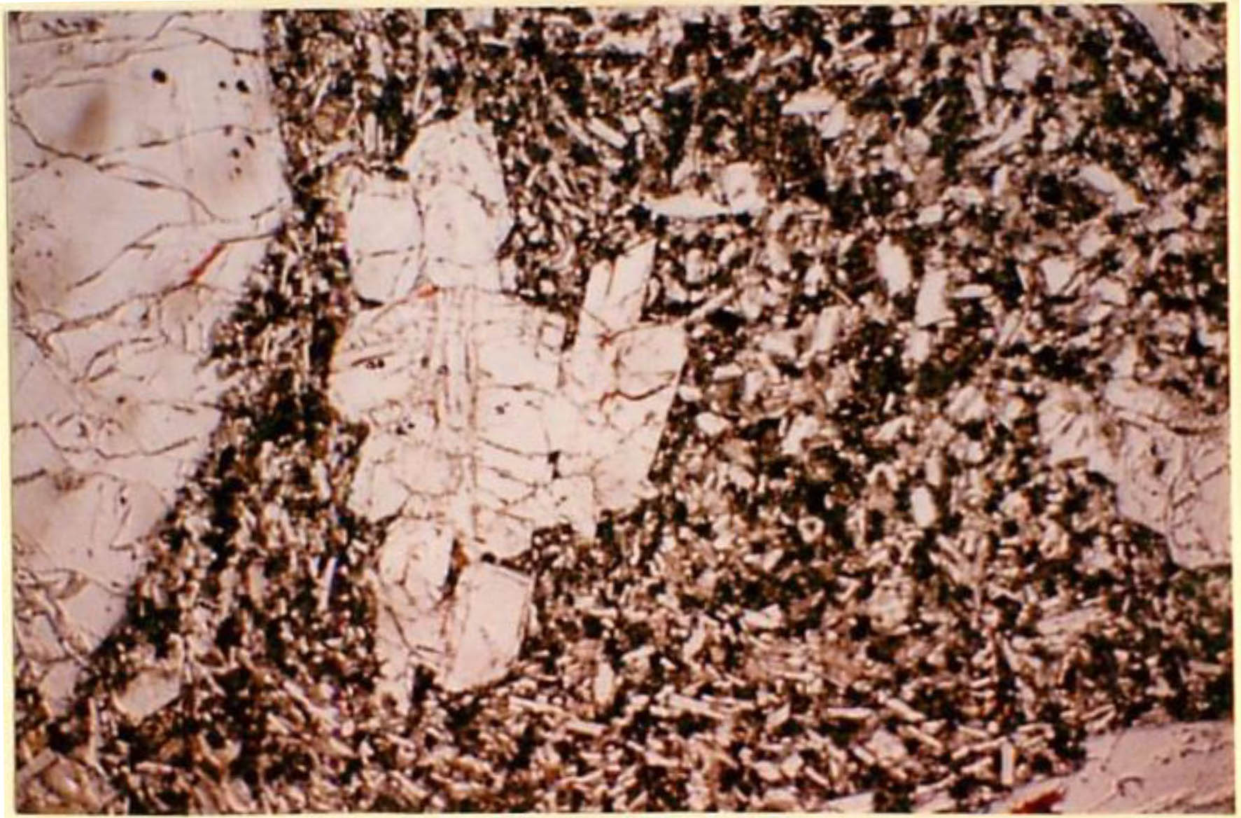 thin section image 2