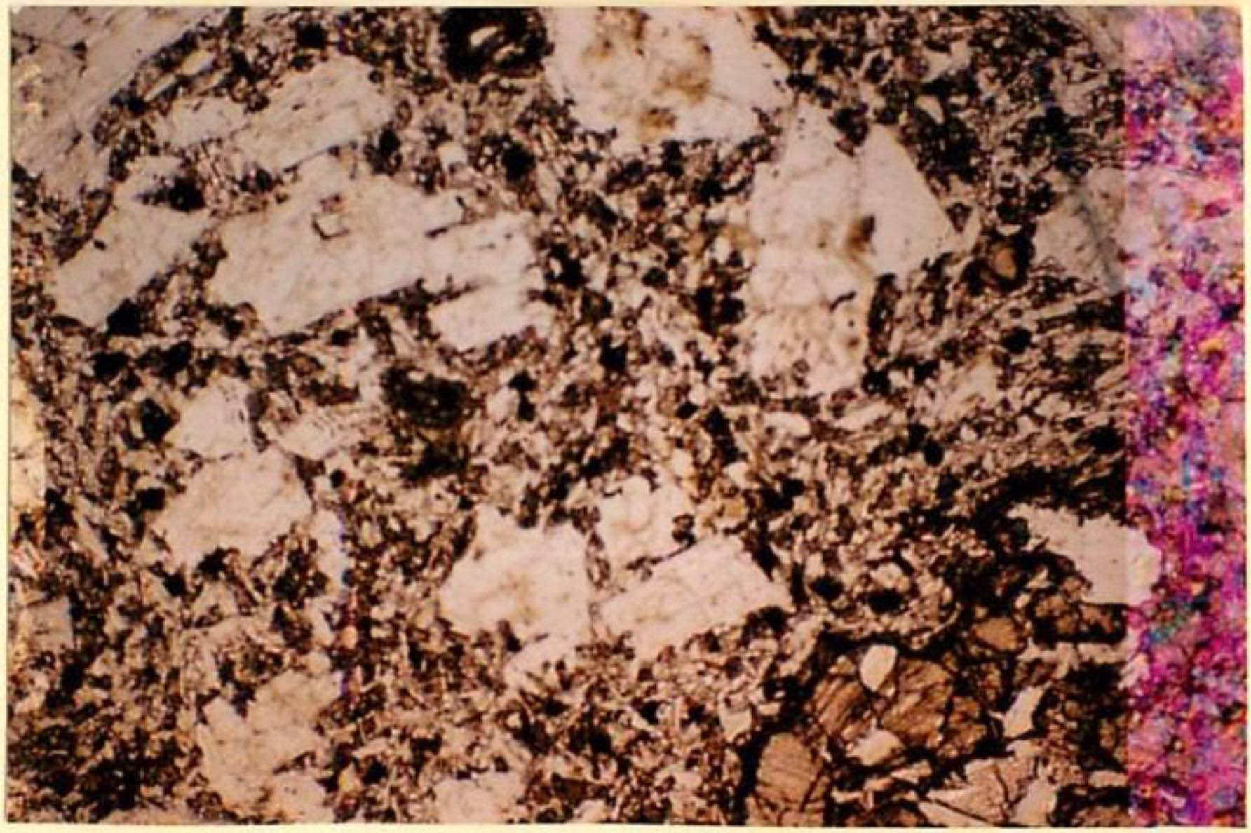 thin section image 2