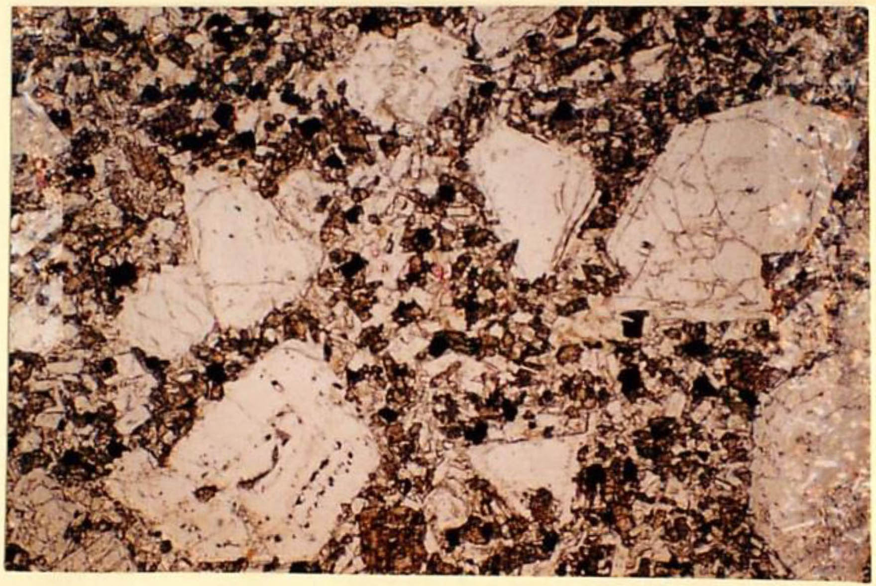 thin section image 2