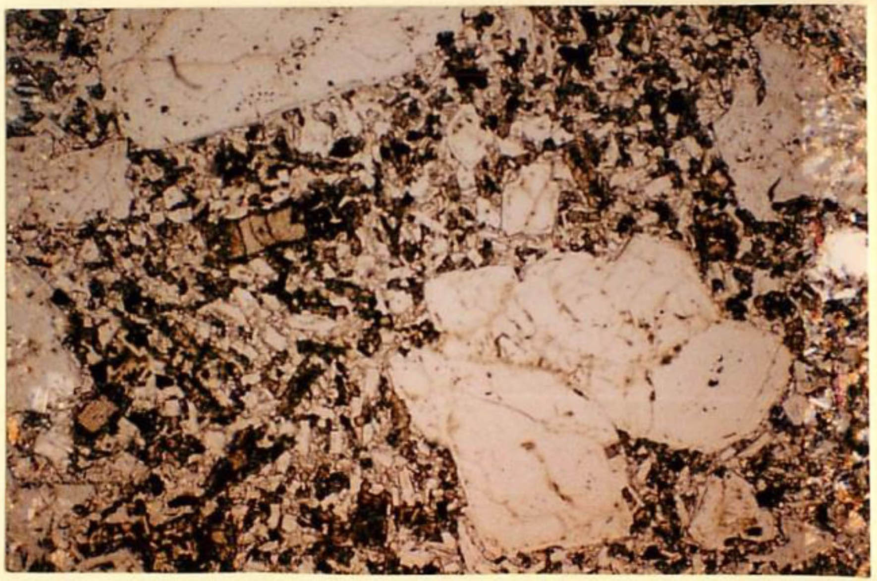 thin section image 2