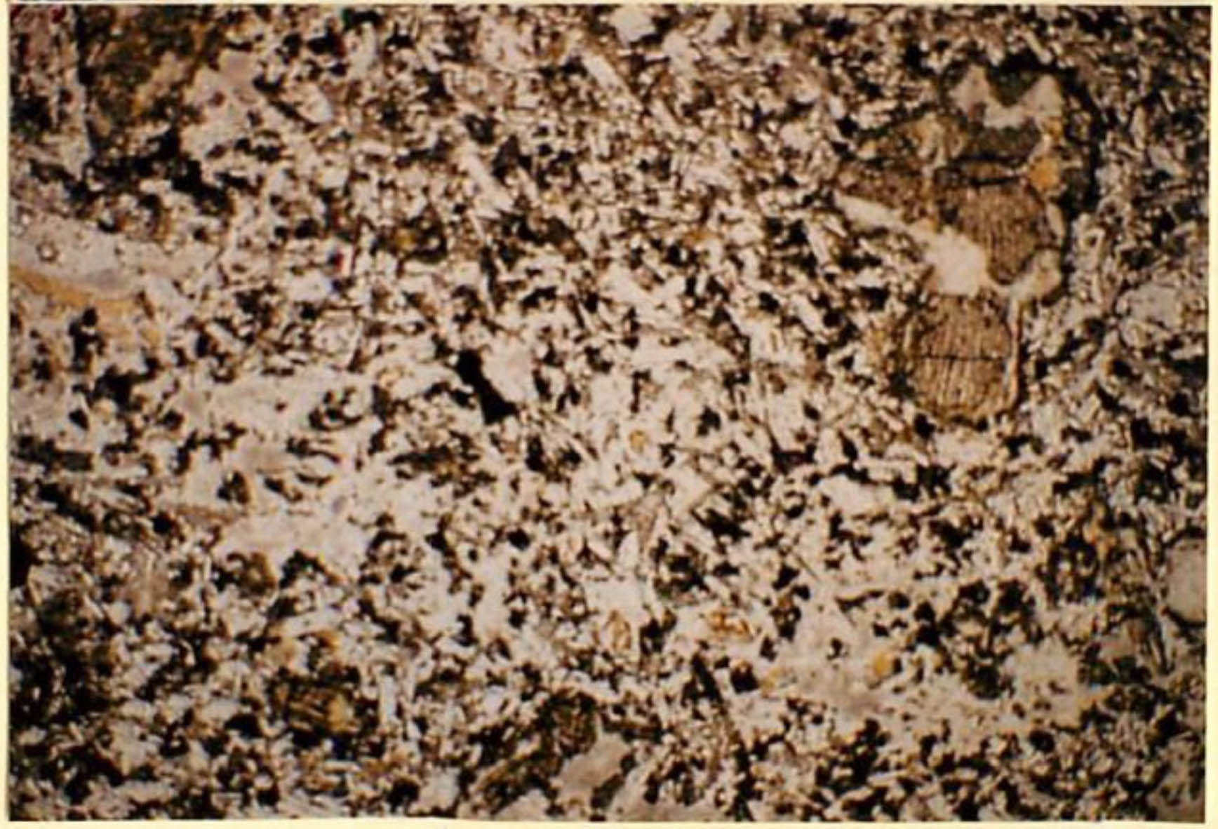 thin section image 2