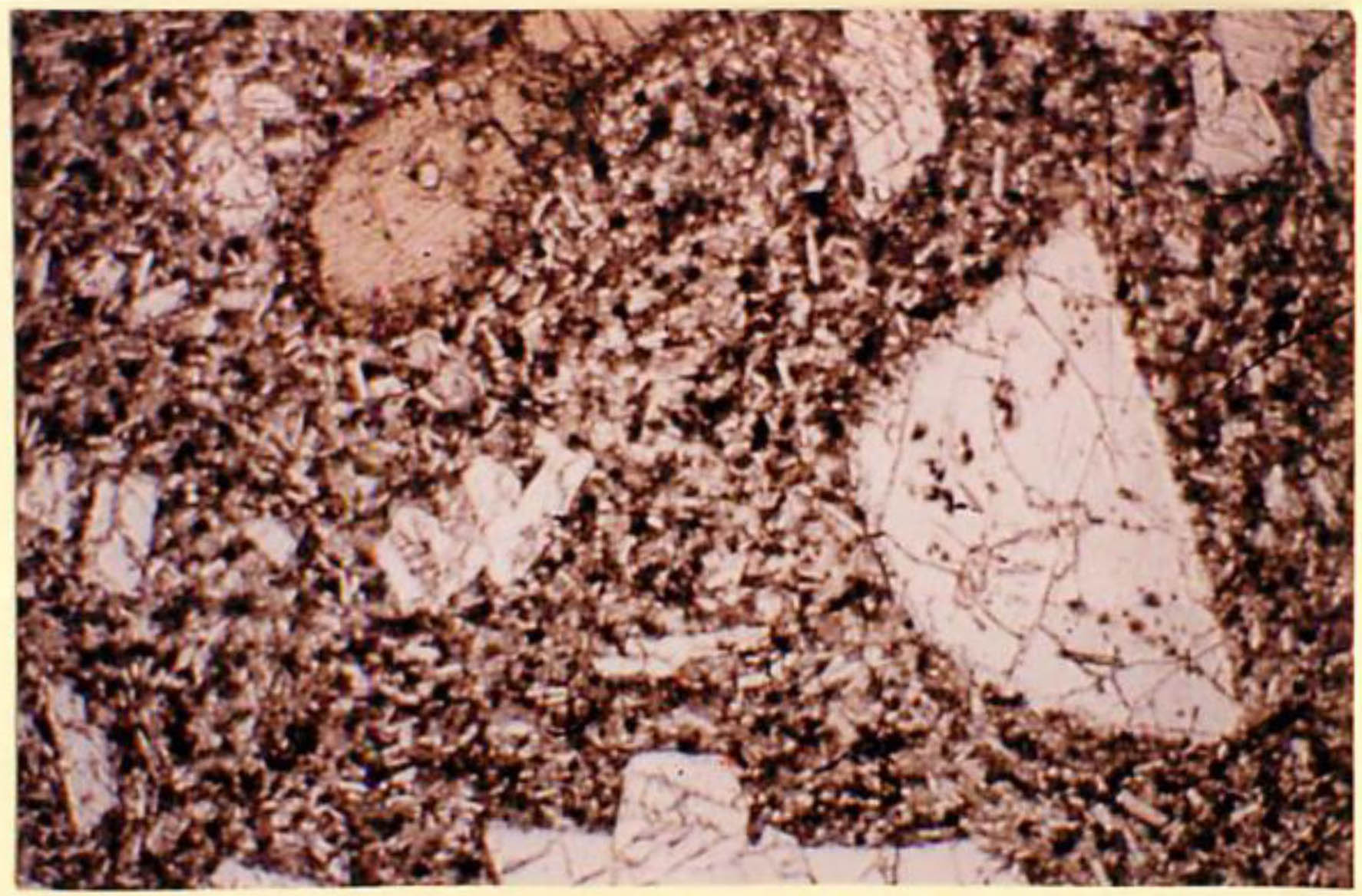 thin section image 2