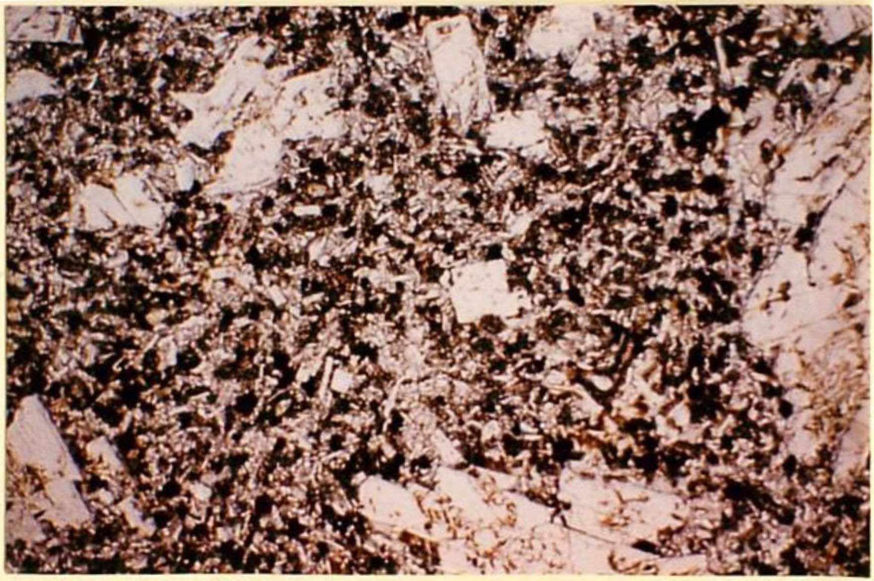 thin section image 2