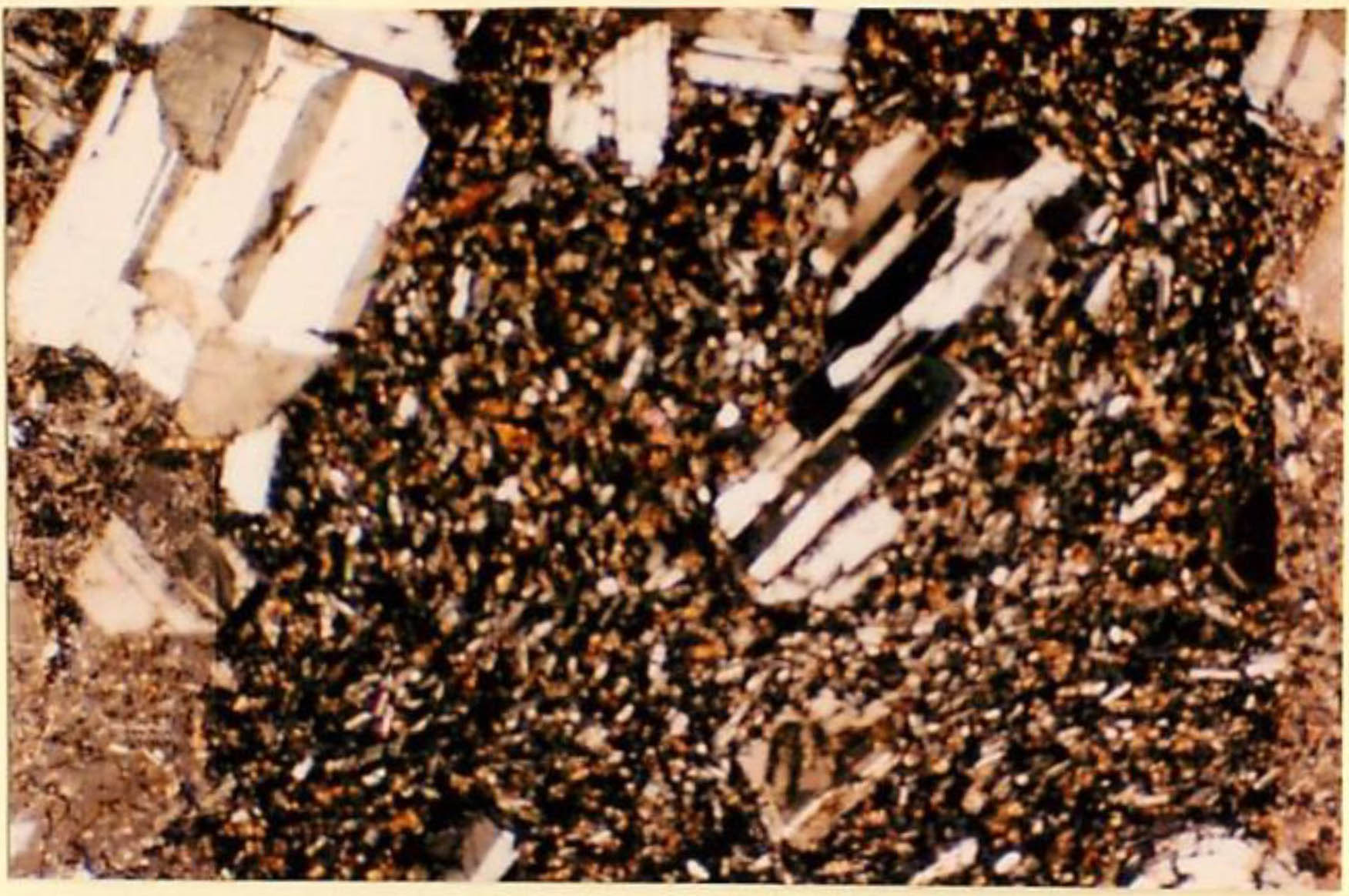 thin section image 1