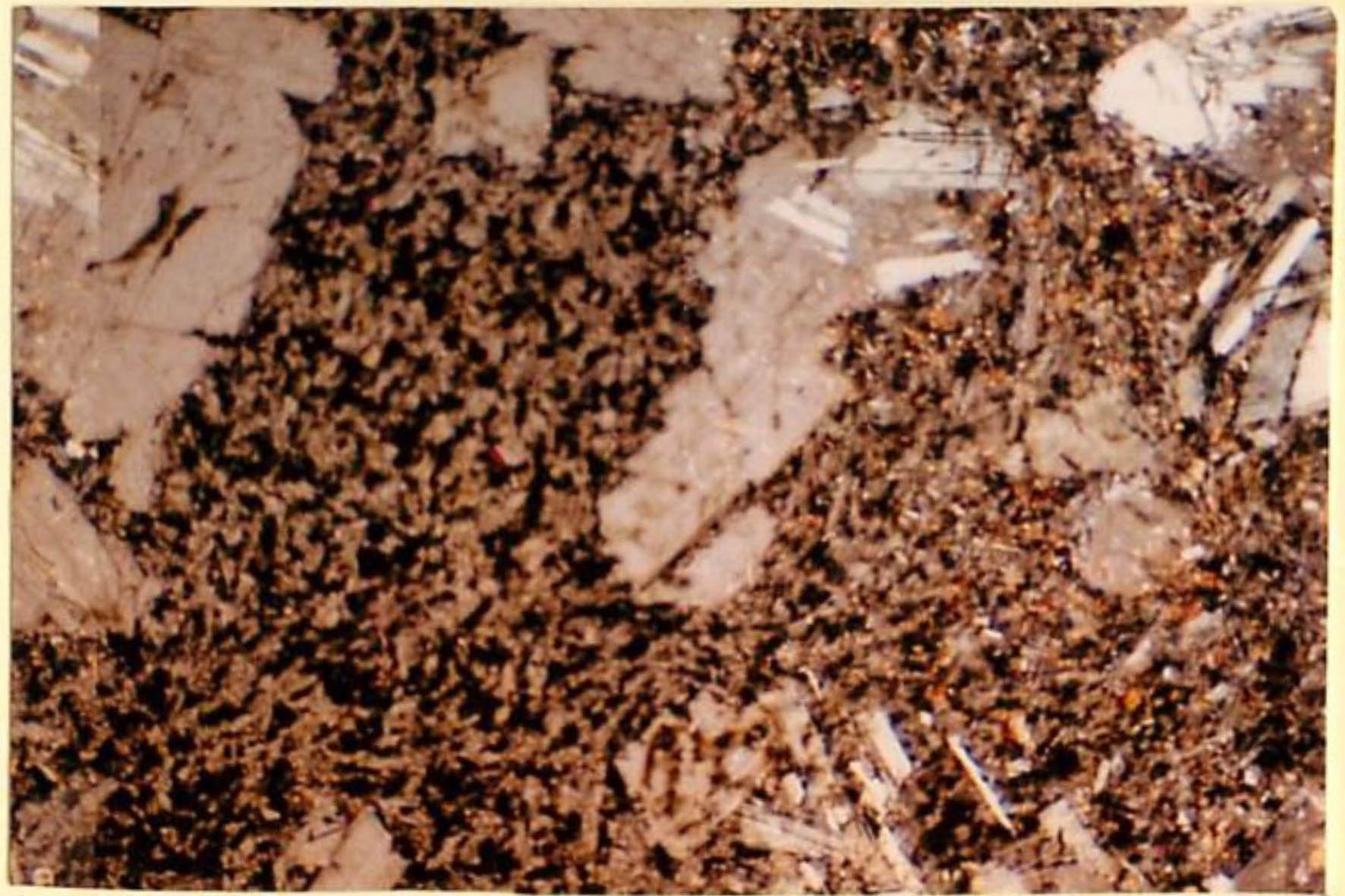 thin section image 2