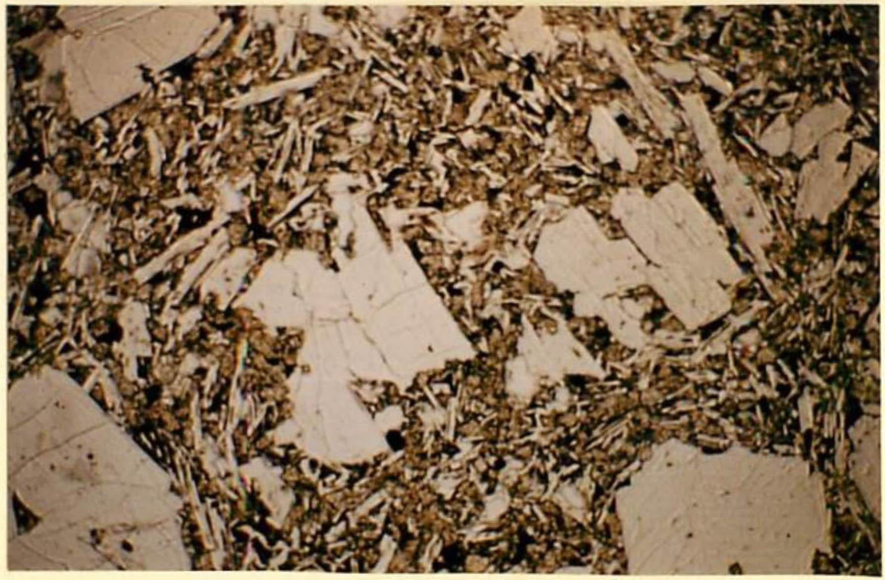 thin section image 2