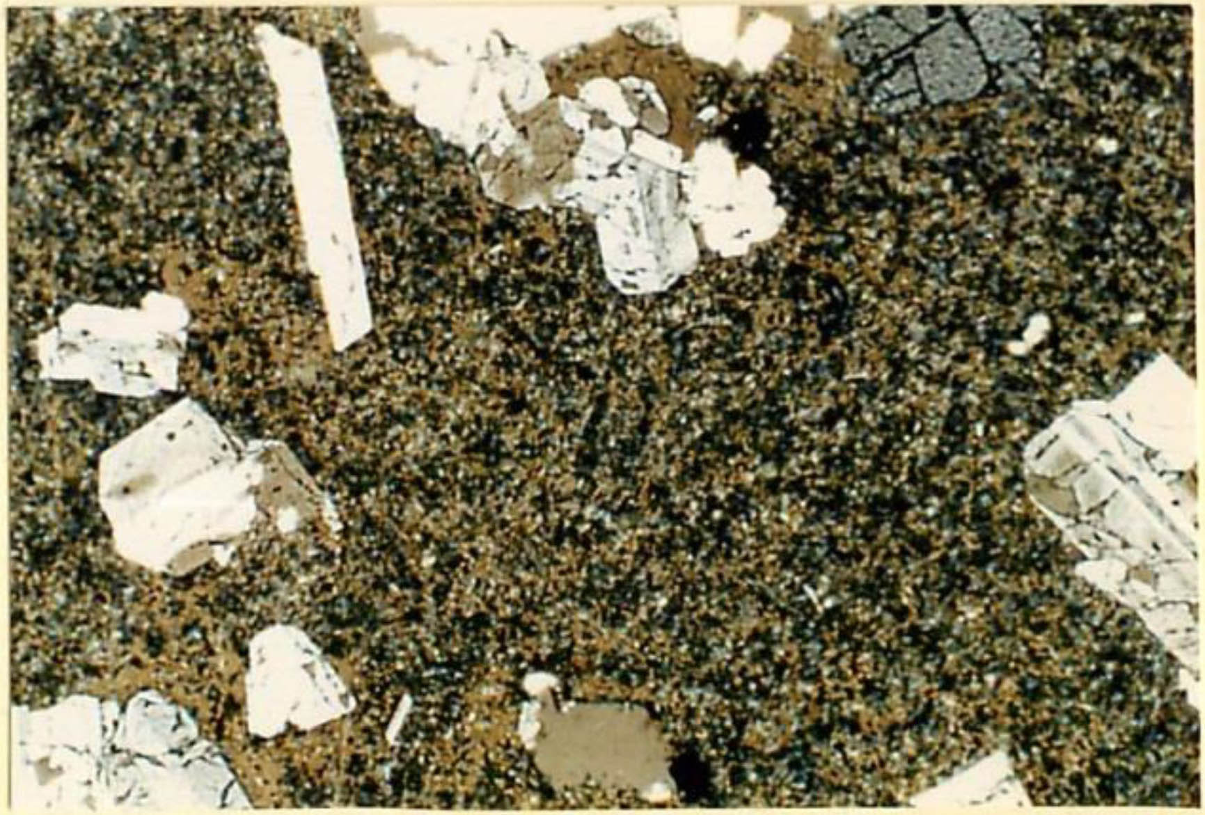 thin section image 2