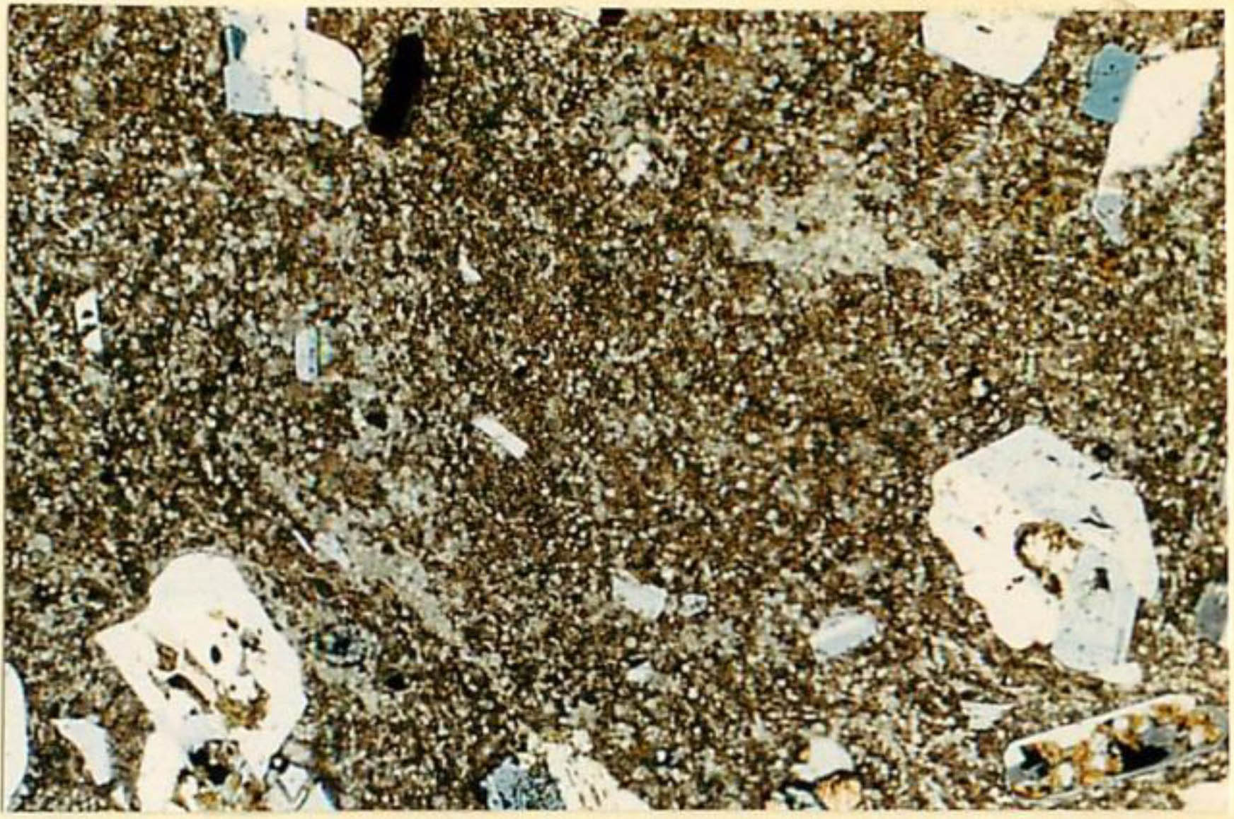 thin section image 1