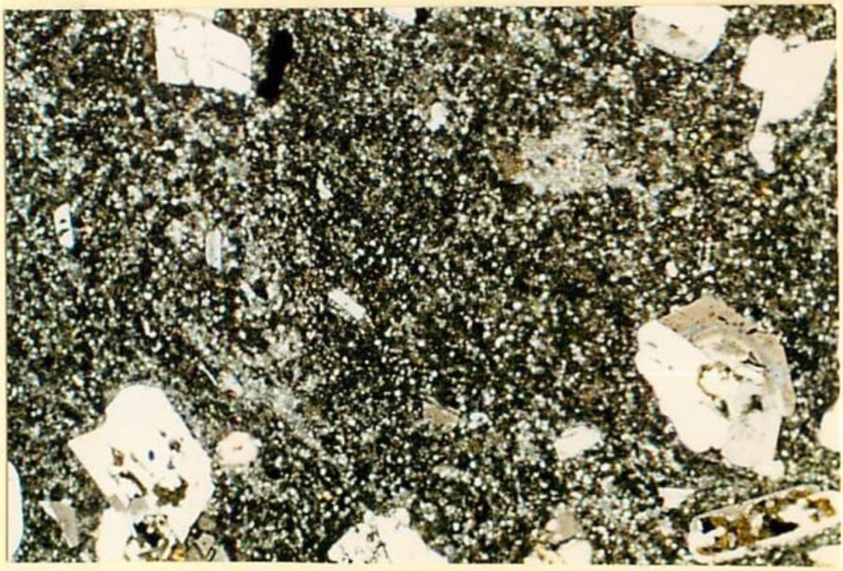 thin section image 2