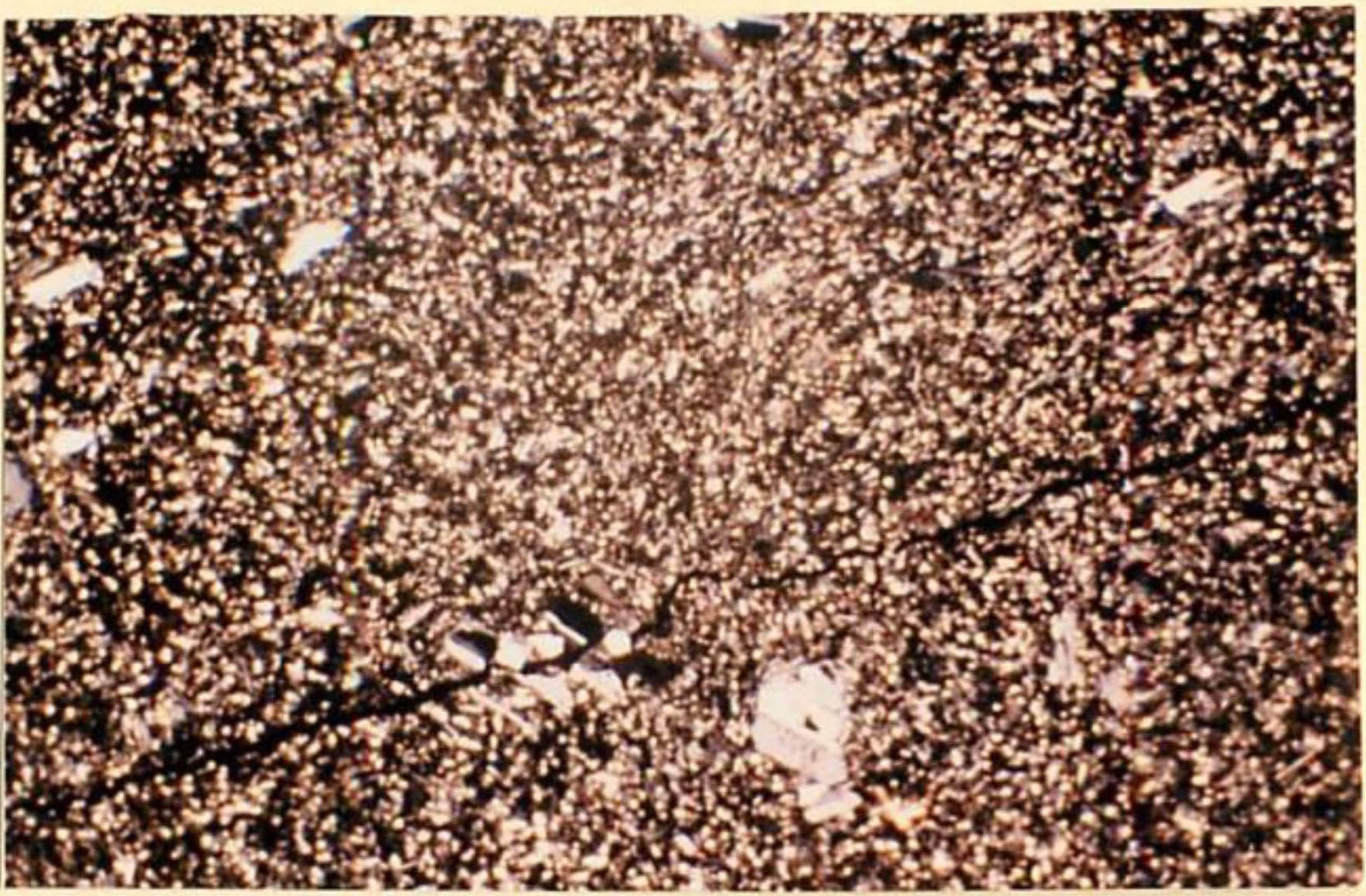 thin section image 1