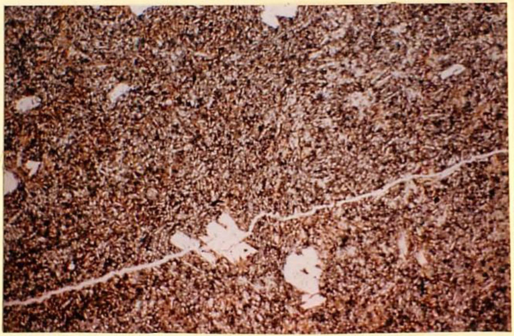 thin section image 2