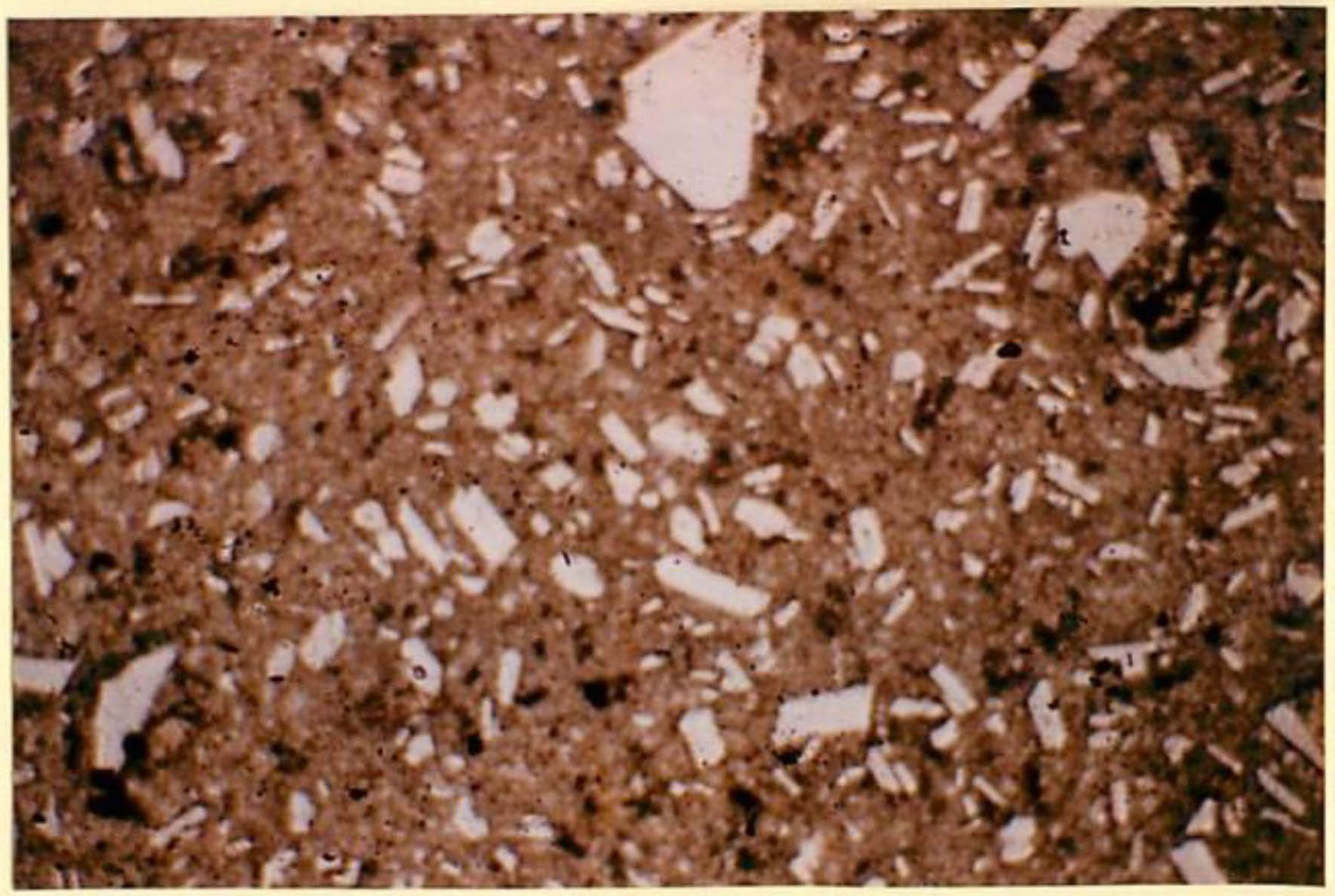 thin section image 2