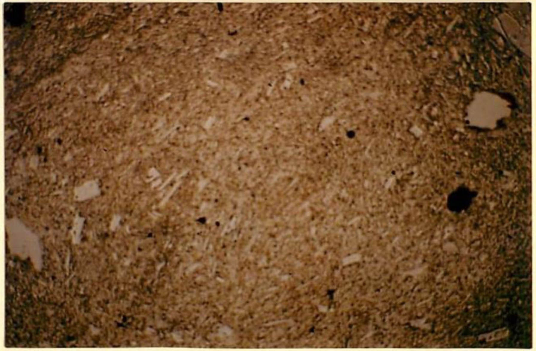 thin section image 2