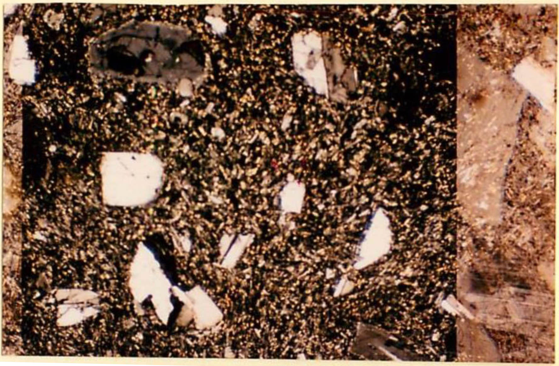thin section image 1