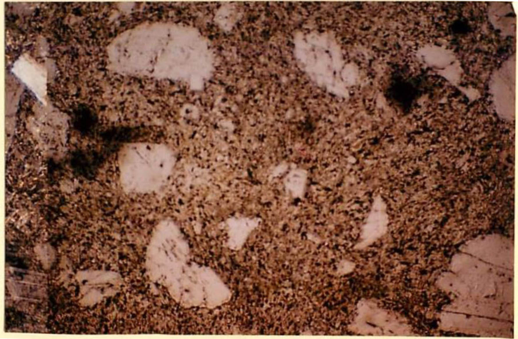 thin section image 2