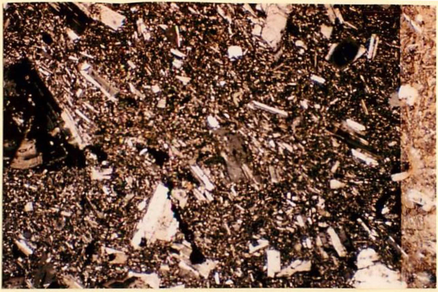 thin section image 1