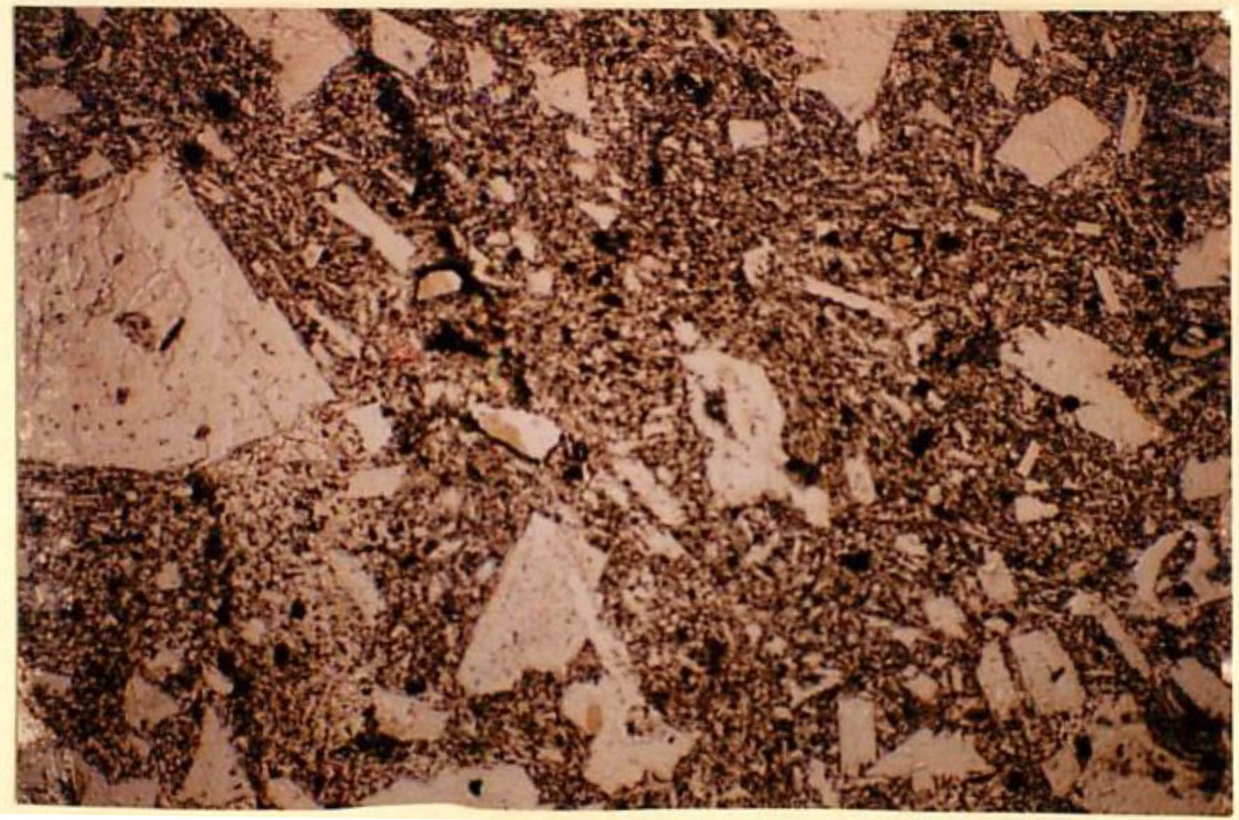 thin section image 2