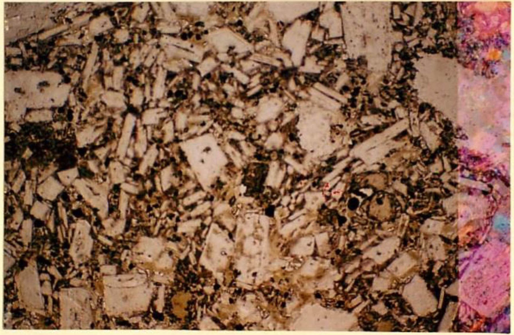 thin section image 2