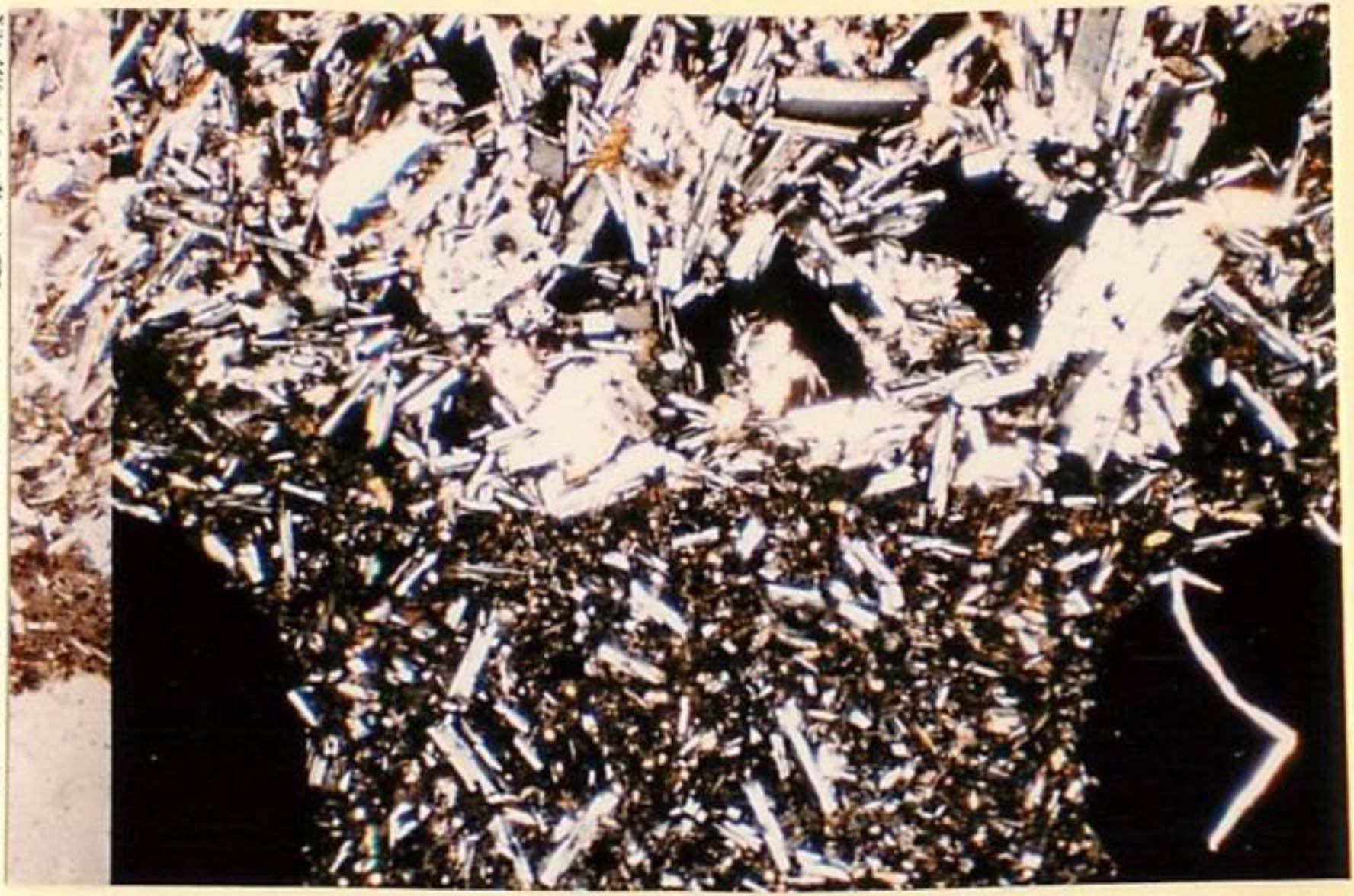 thin section image 1