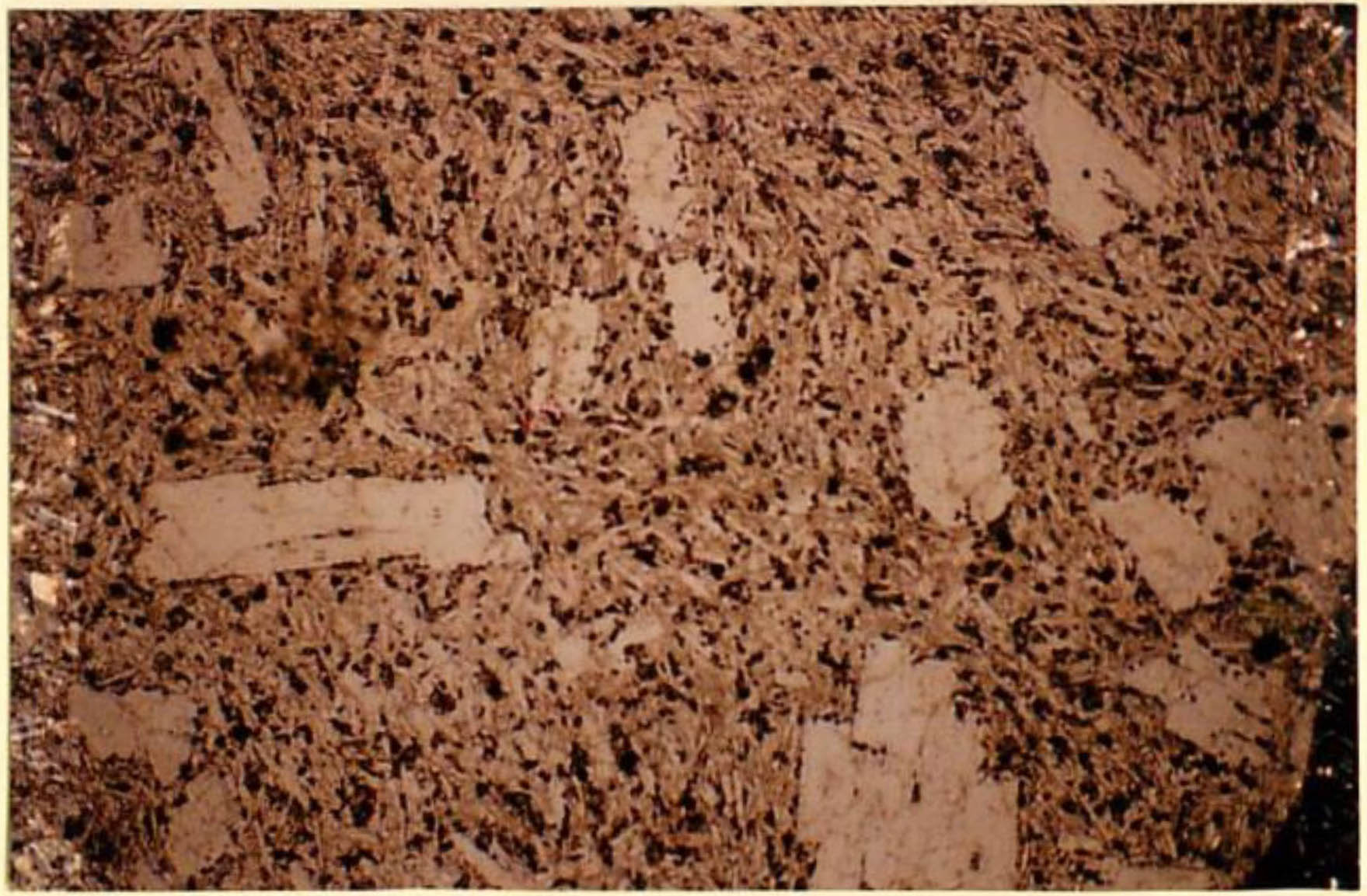 thin section image 2