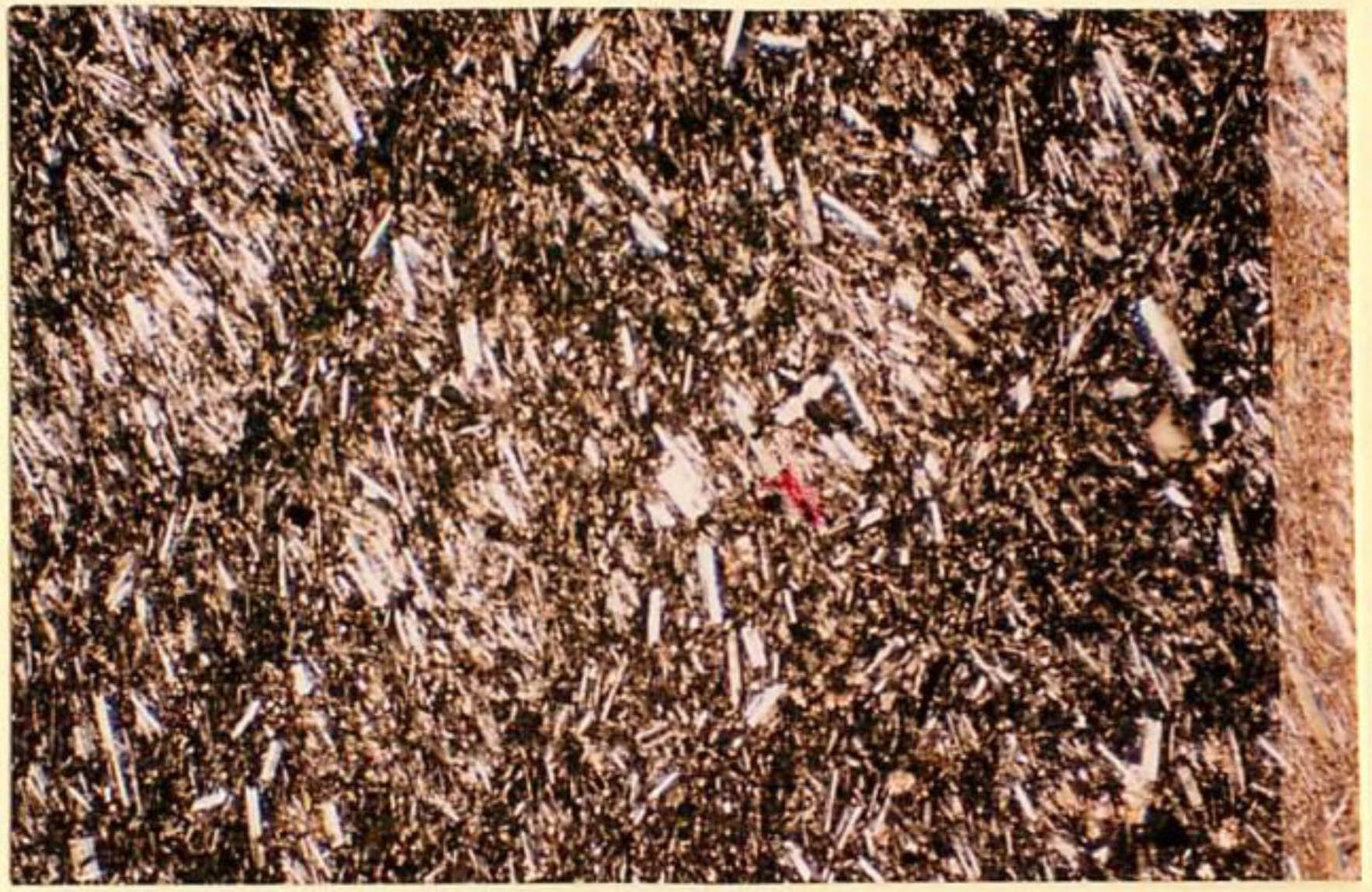 thin section image 1