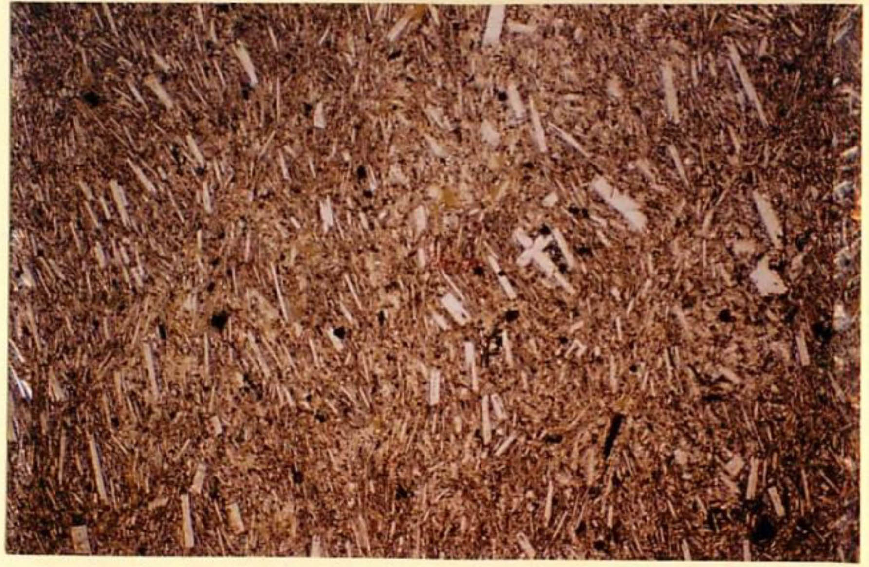 thin section image 2