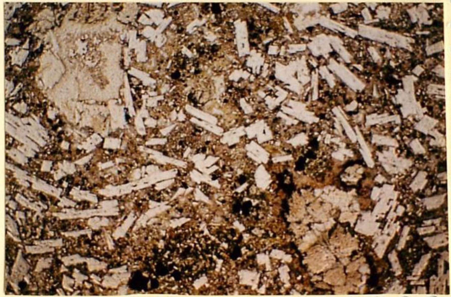 thin section image 2