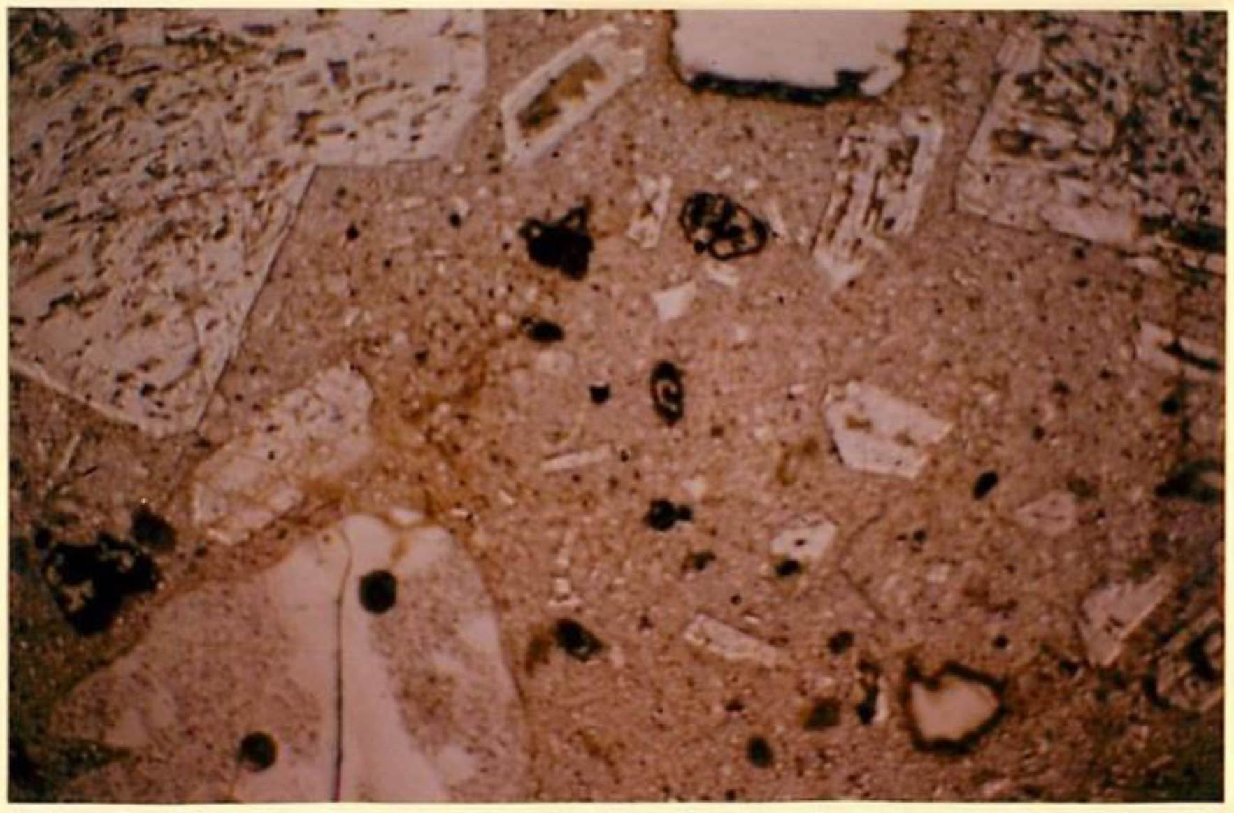 thin section image 2