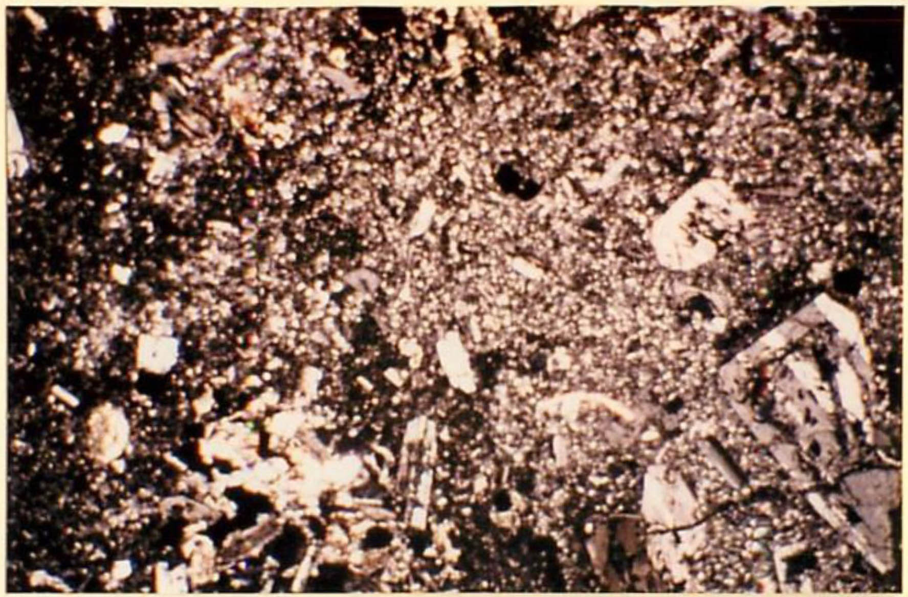 thin section image 1