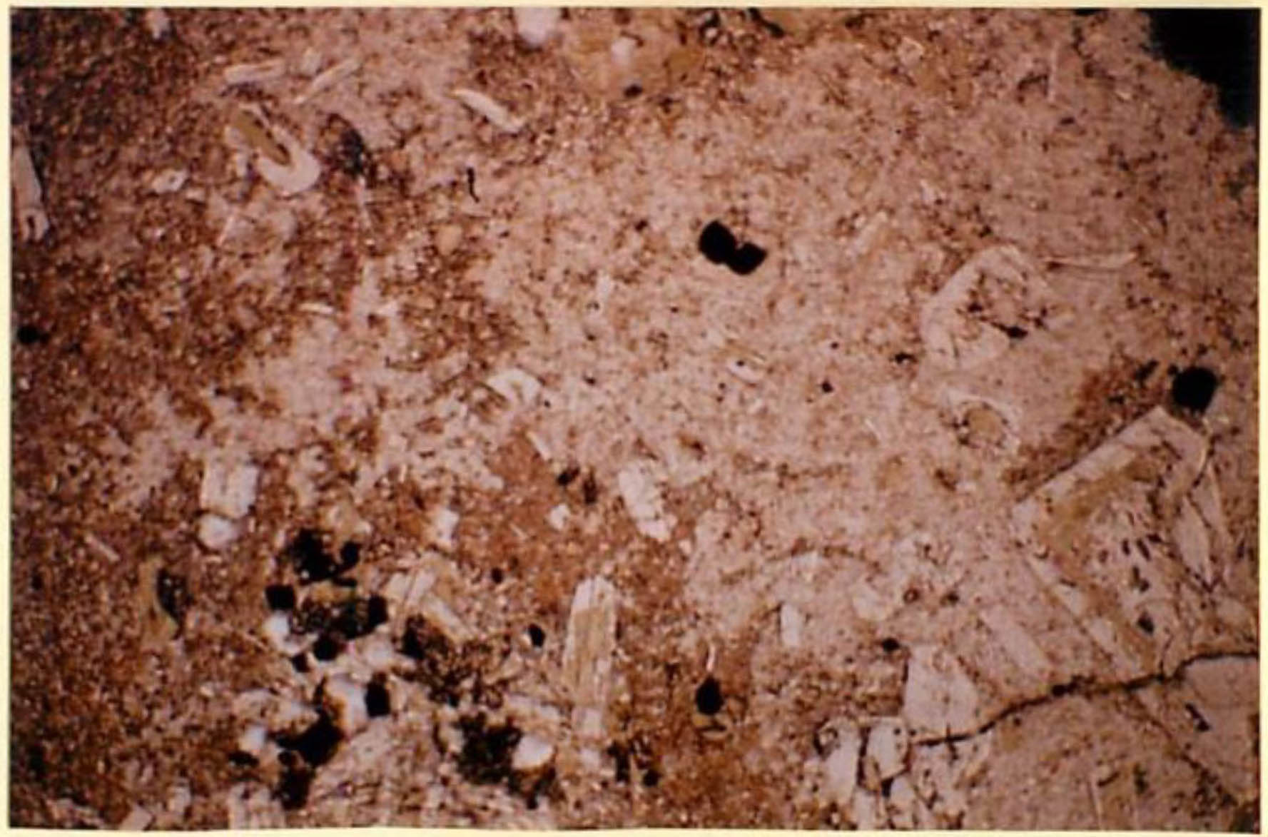 thin section image 2