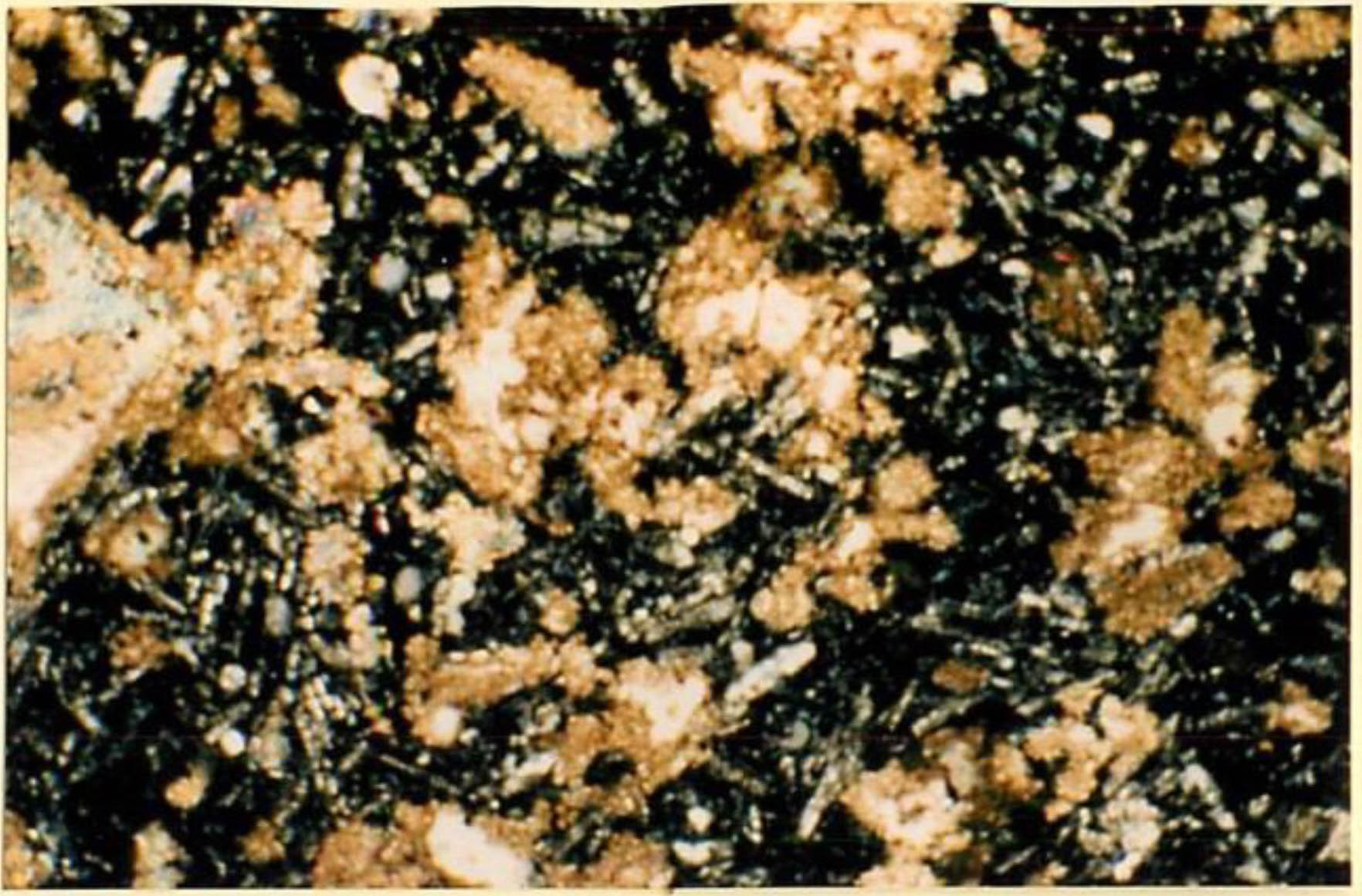 thin section image 1