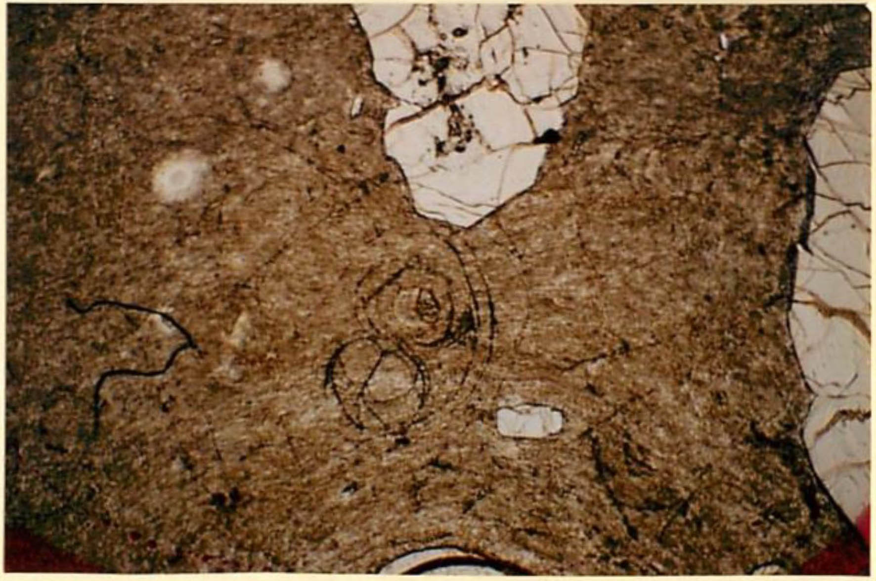 thin section image 2