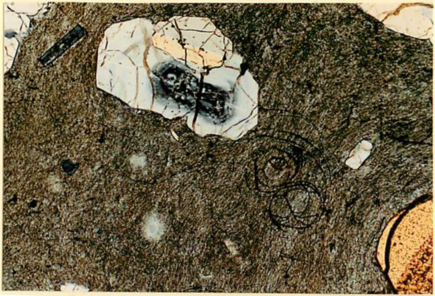 thin section image 1