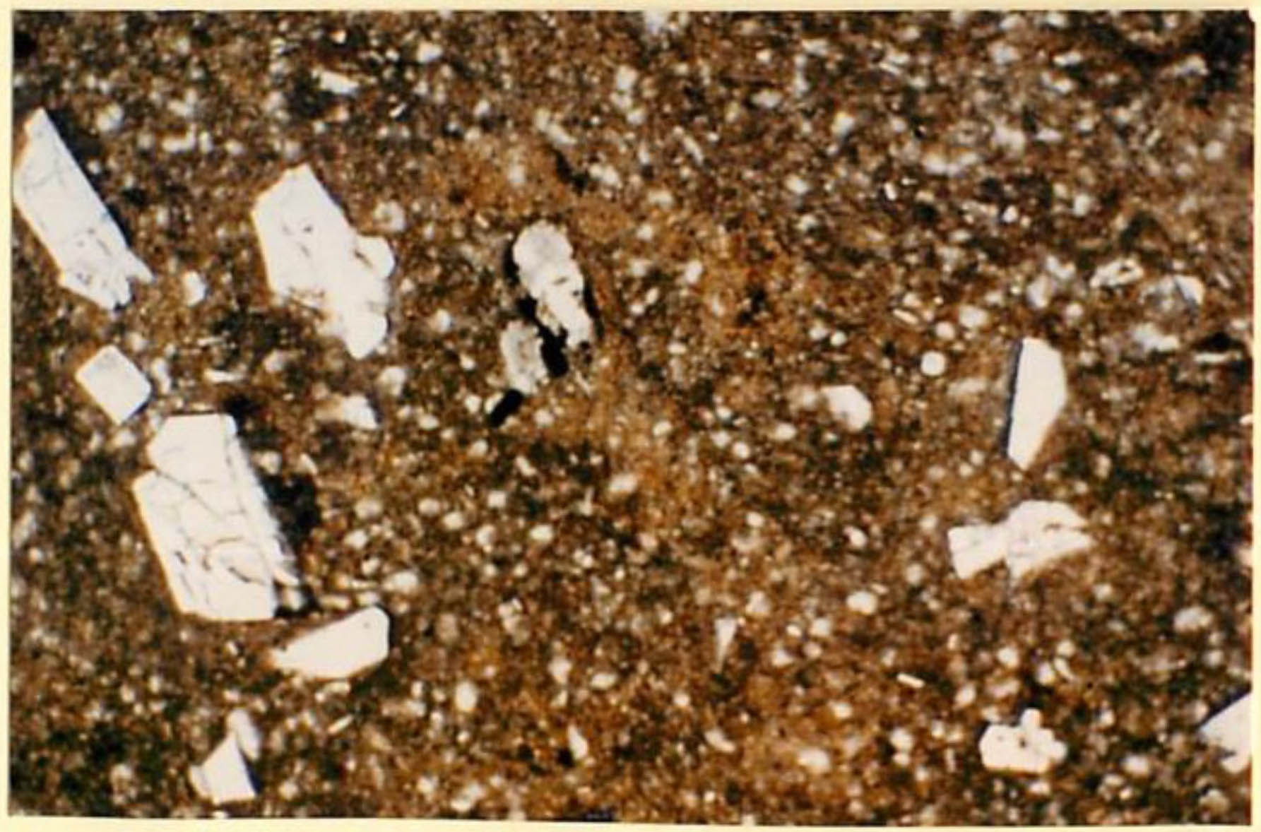 thin section image 2