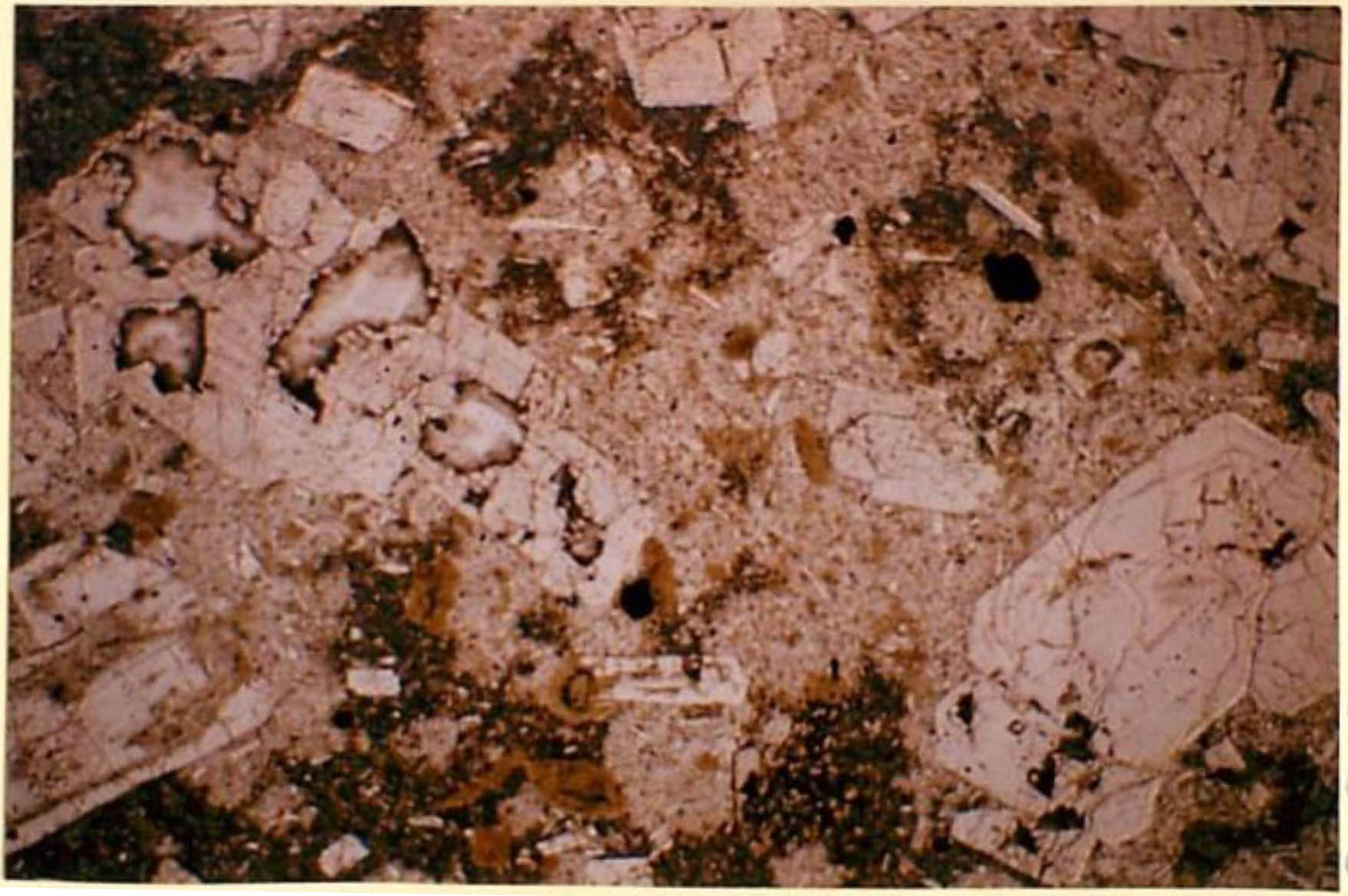 thin section image 2