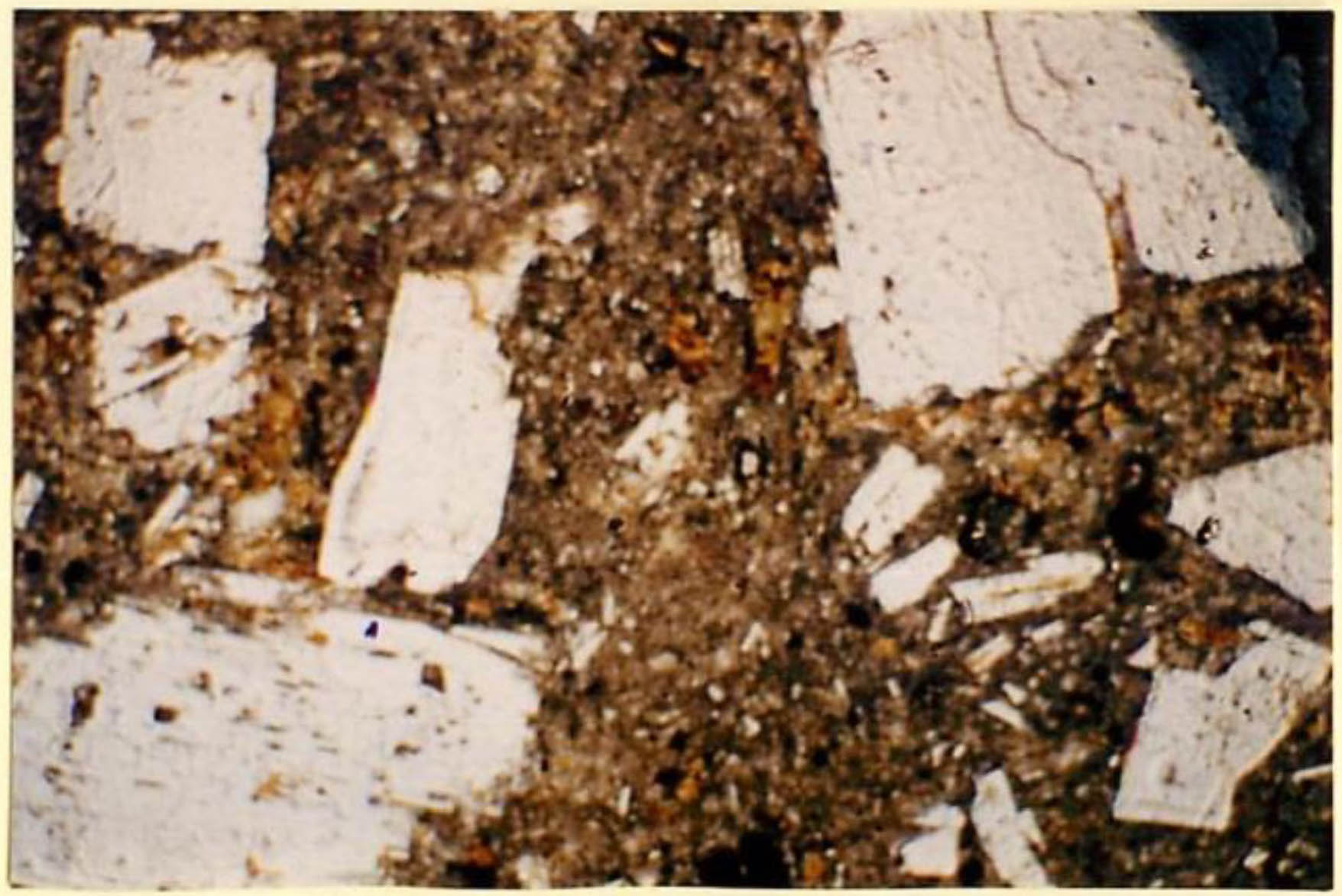 thin section image 2